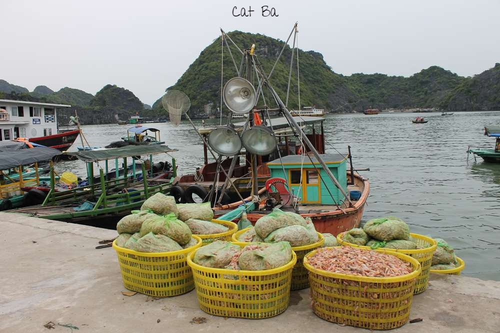 Cat Ba