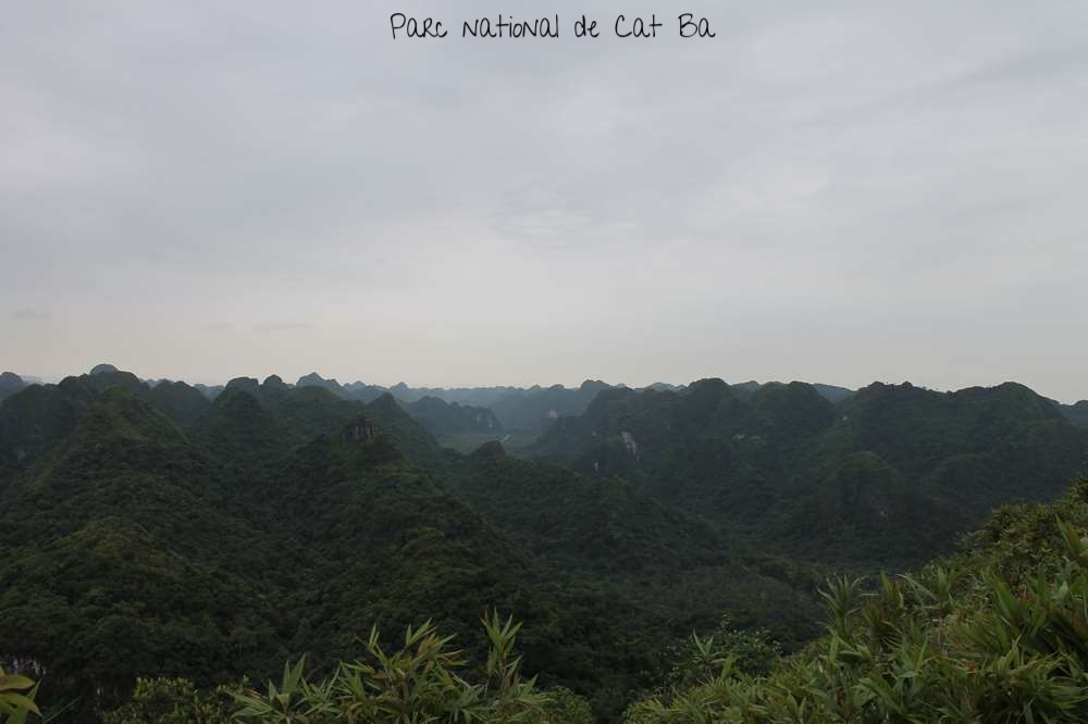Parc national de Cat Ba