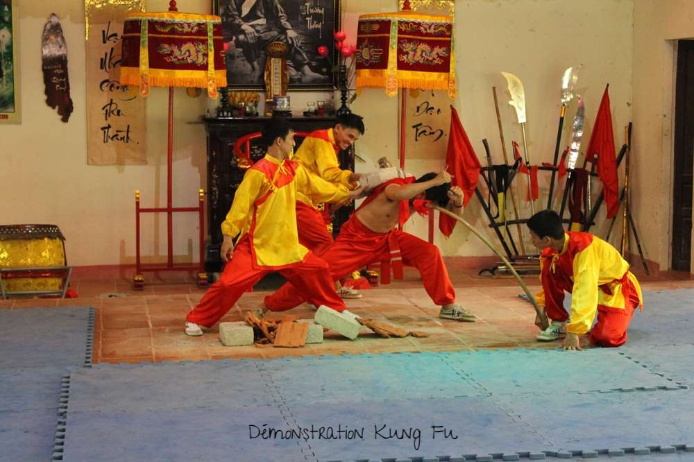 Démonstration Kung Fu