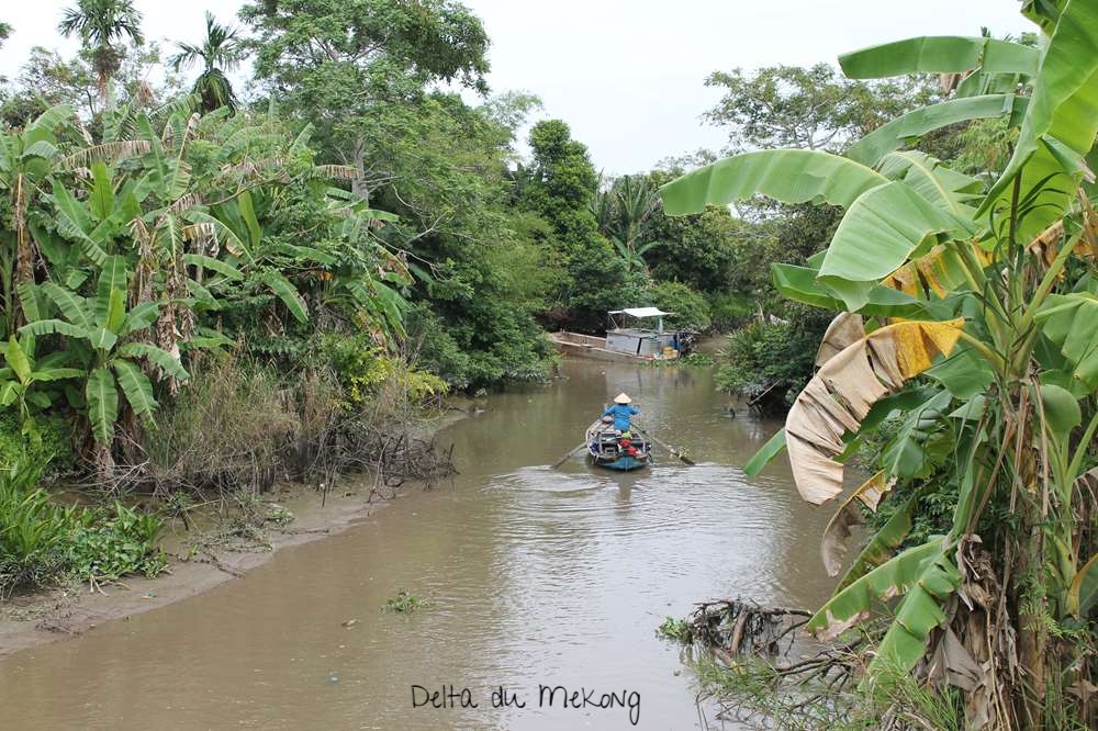 Delta du Mekong