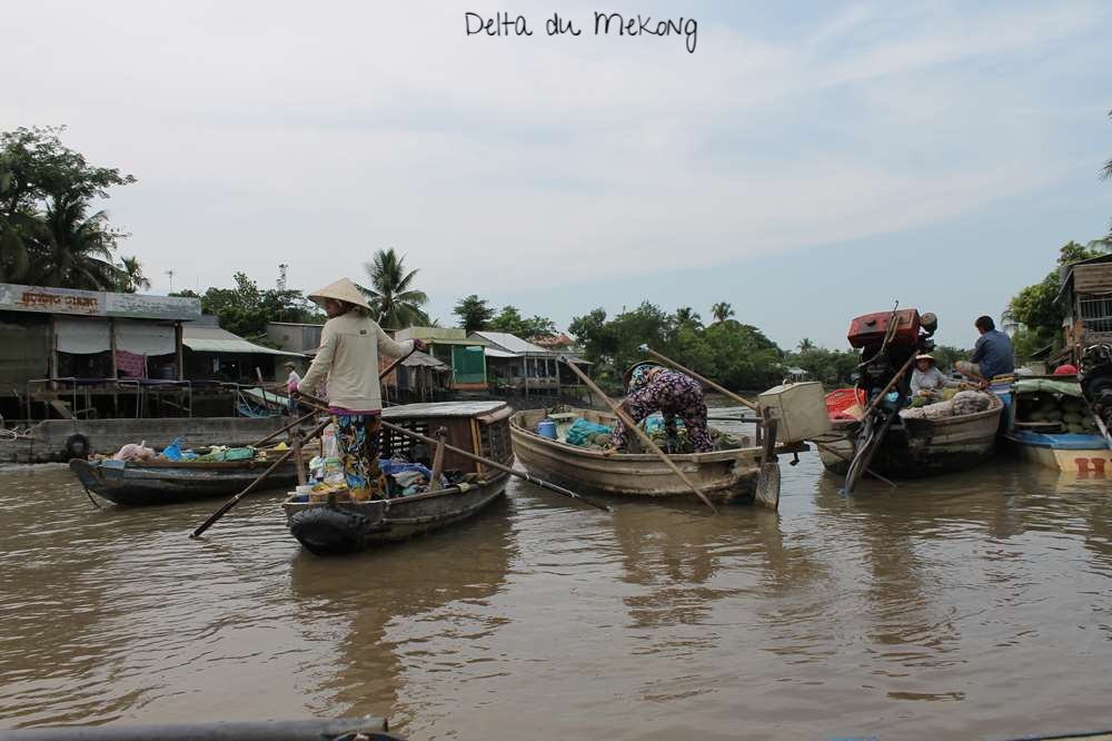 Delta du Mekong