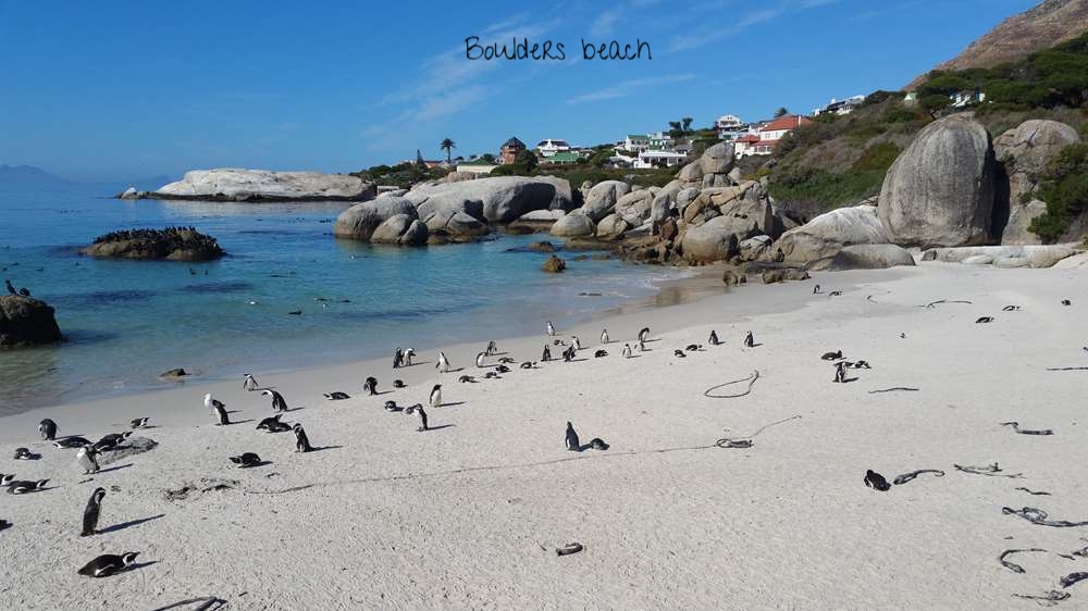 Boulders beach