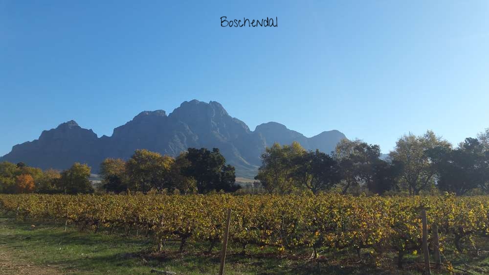 Boschendal
