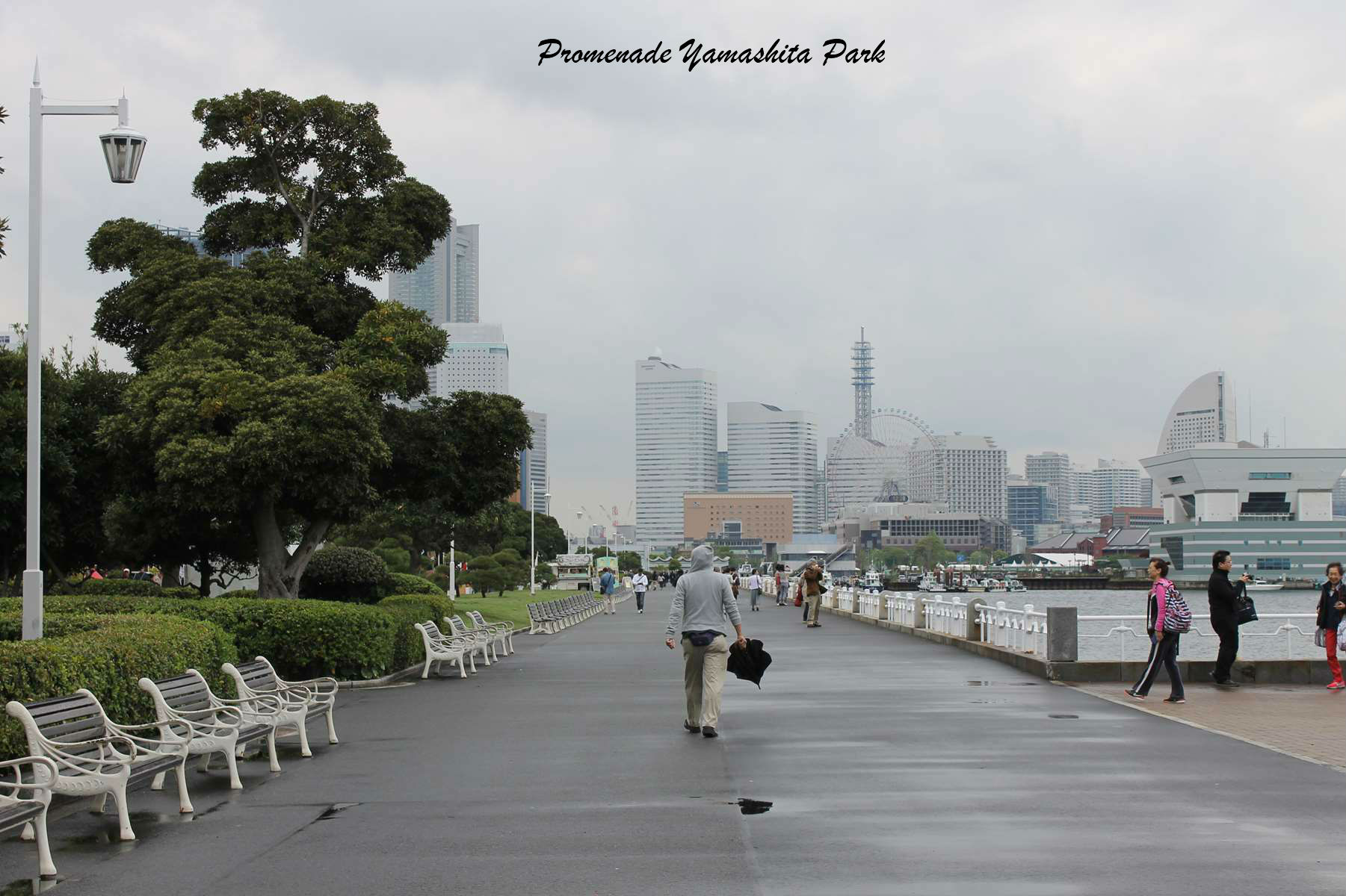 Promenade Yamashita Park Yokohama