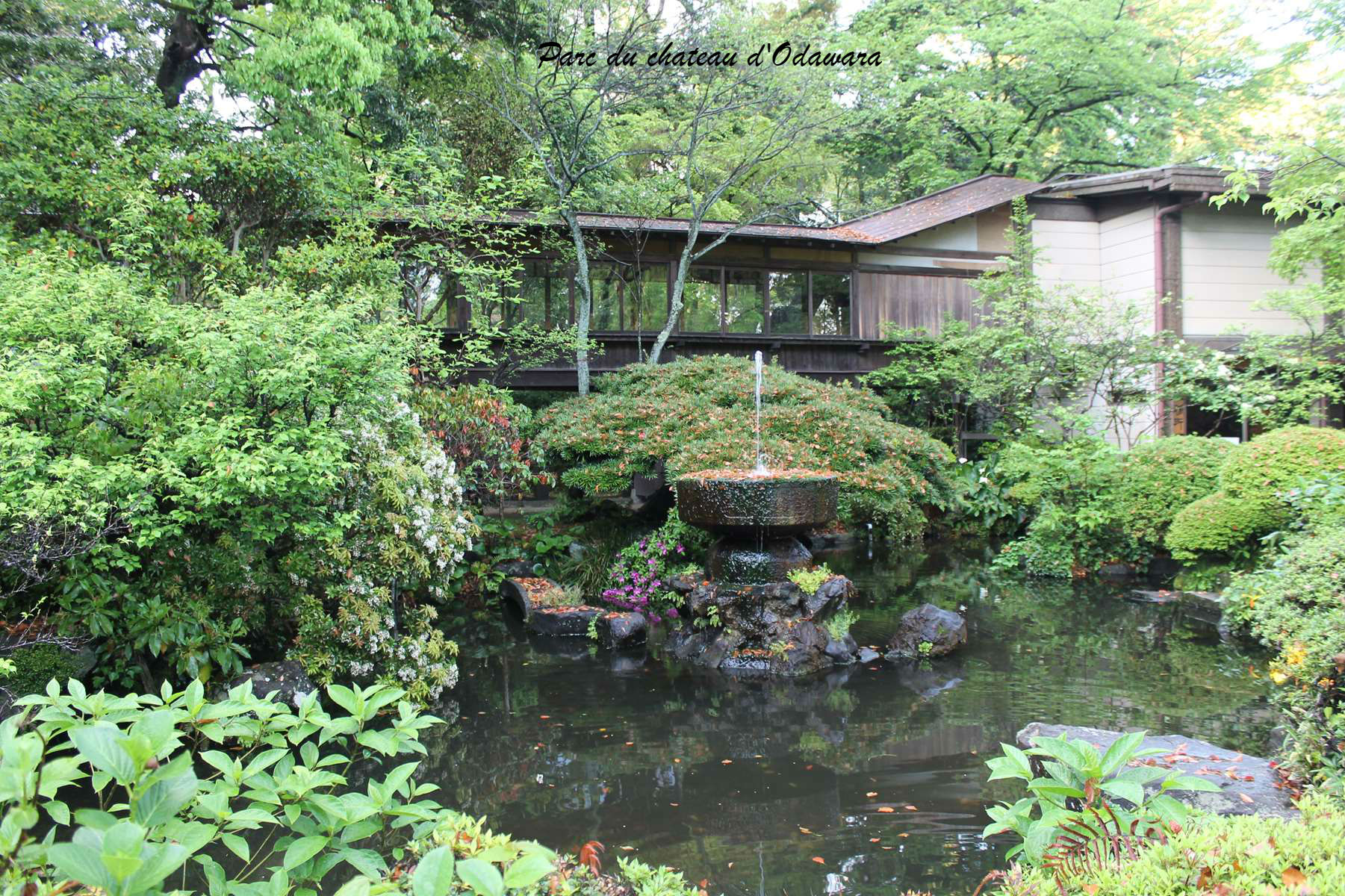 Parc du chateau d'Odawara