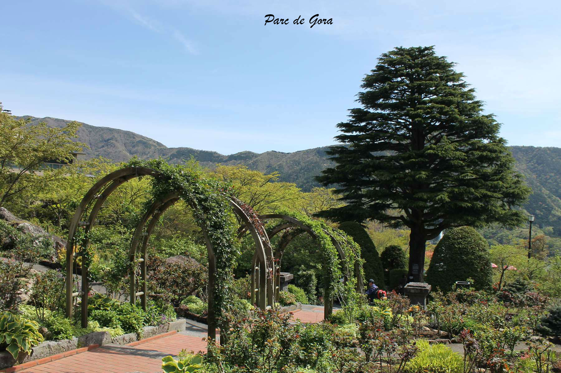 Parc de Gora Hakone