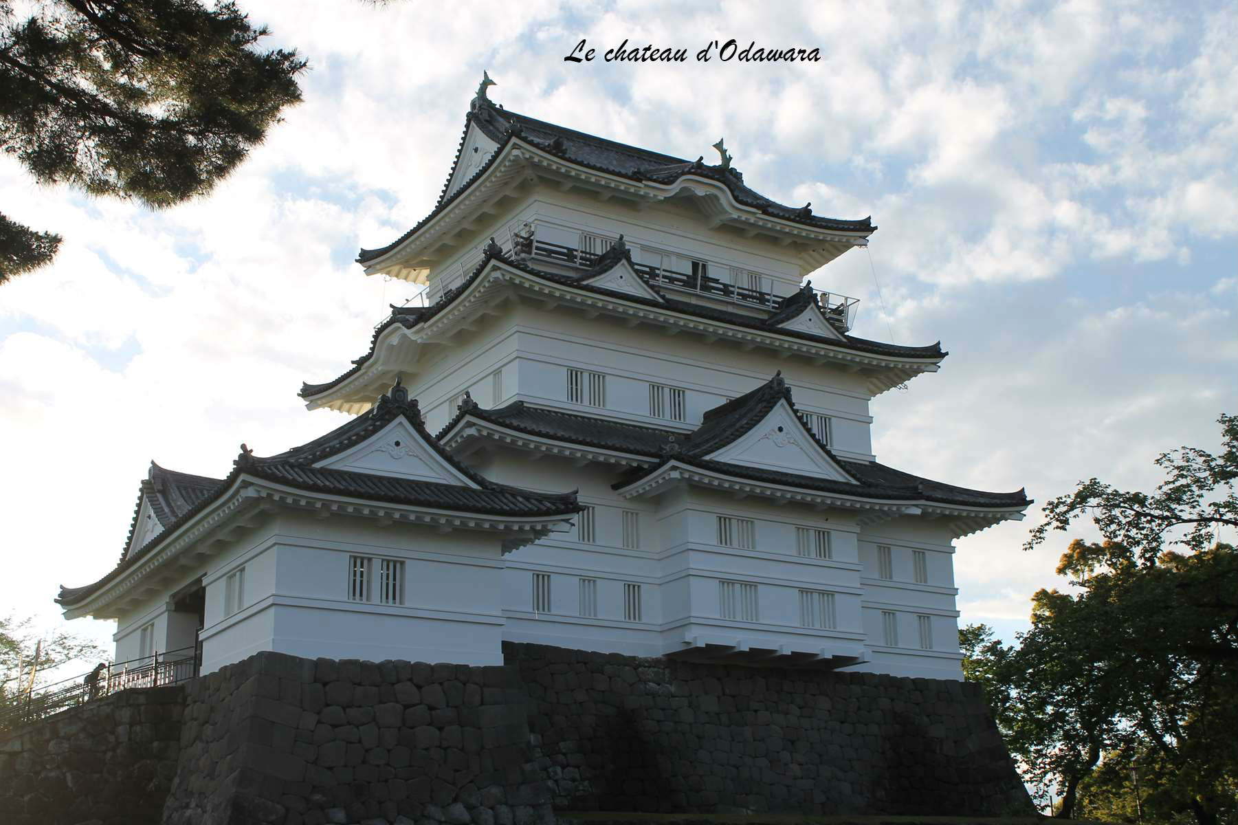 Chateau d'Odawara