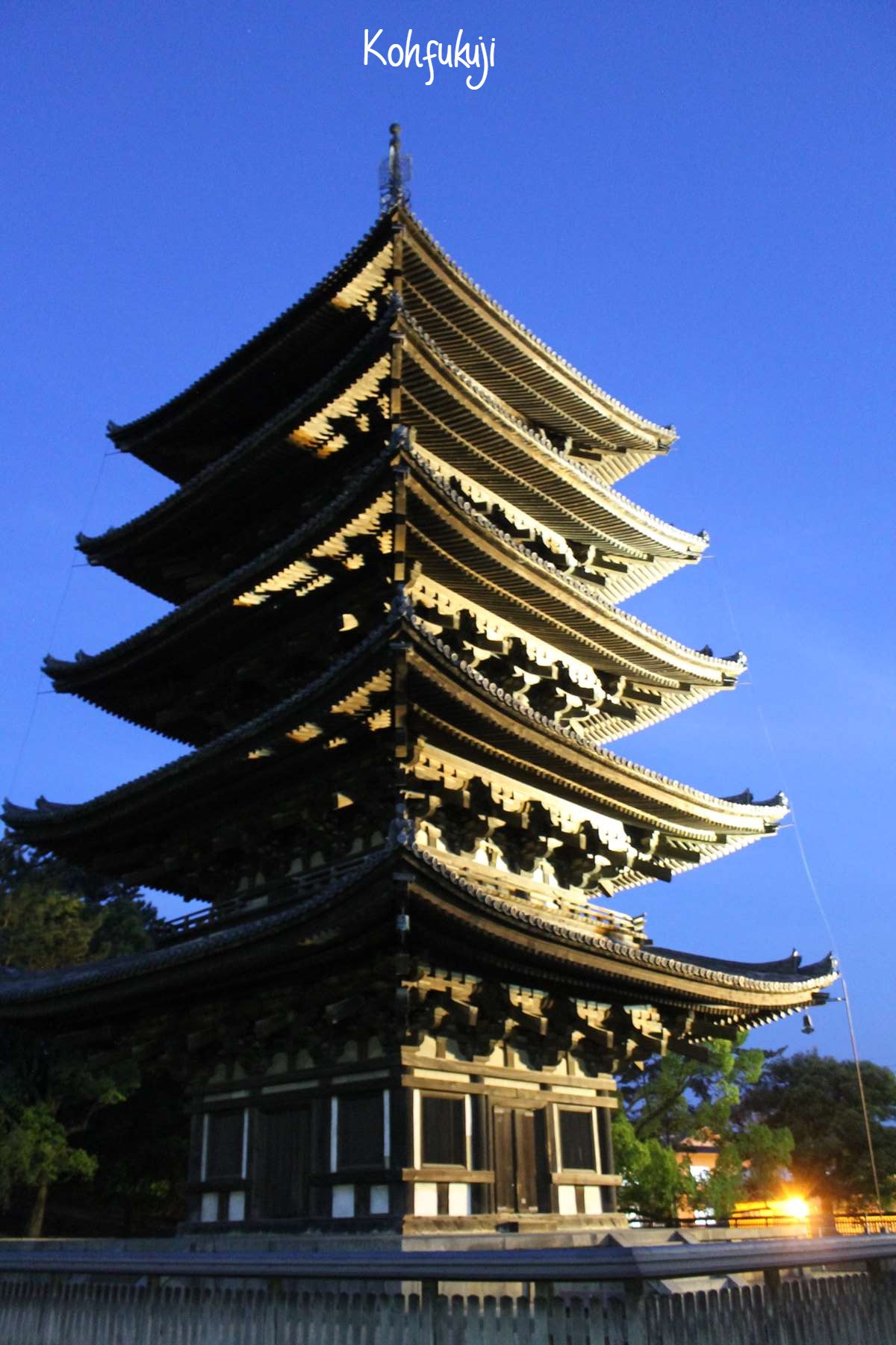 Kohfukuji Nara