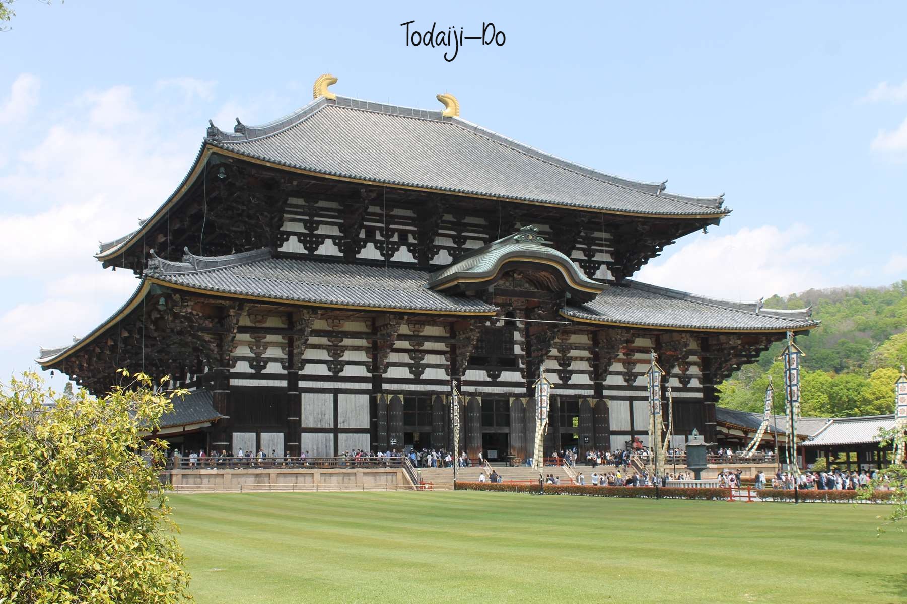 Todaiji-Do Nara