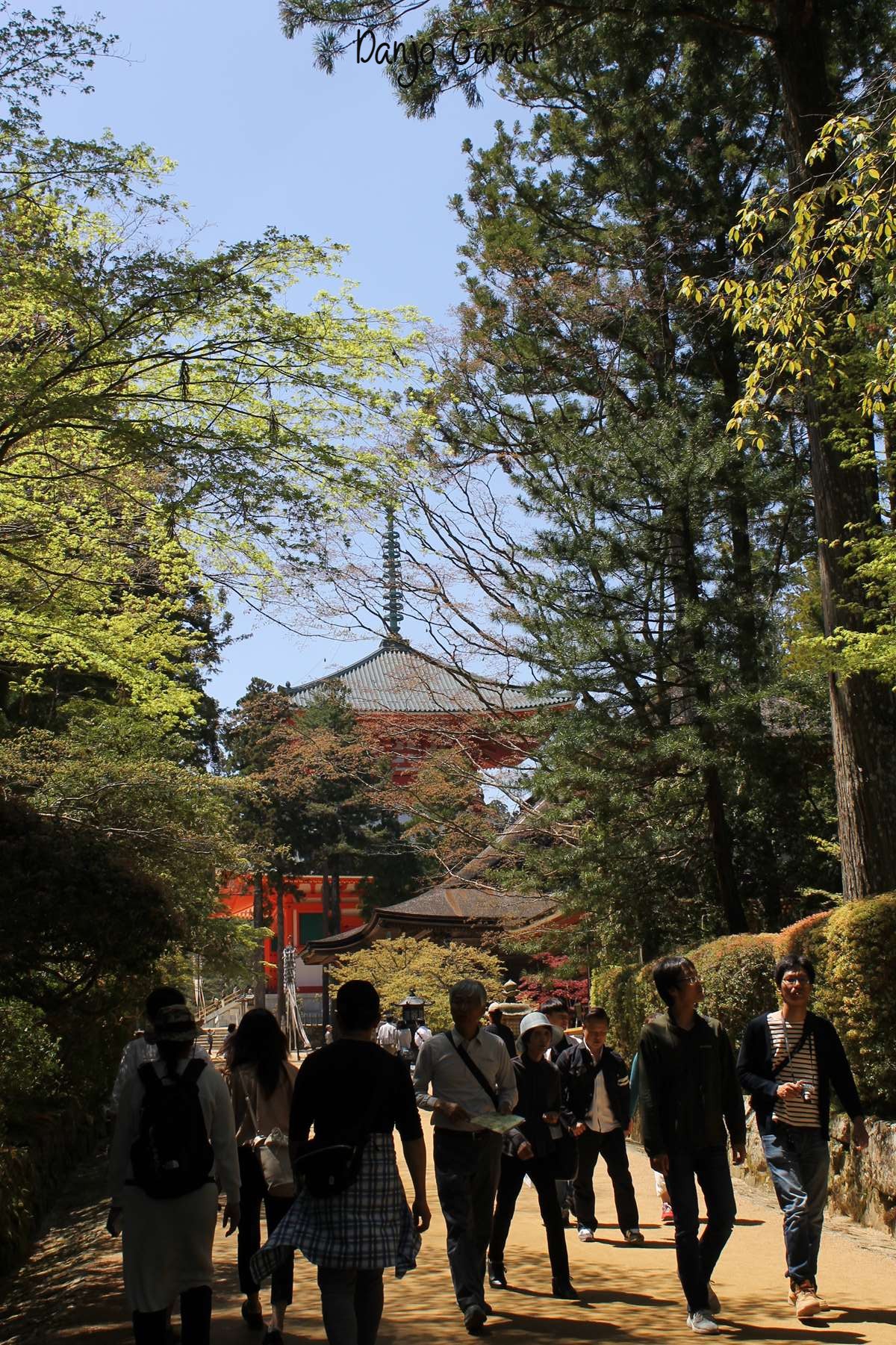 Danjo Garan Koyasan
