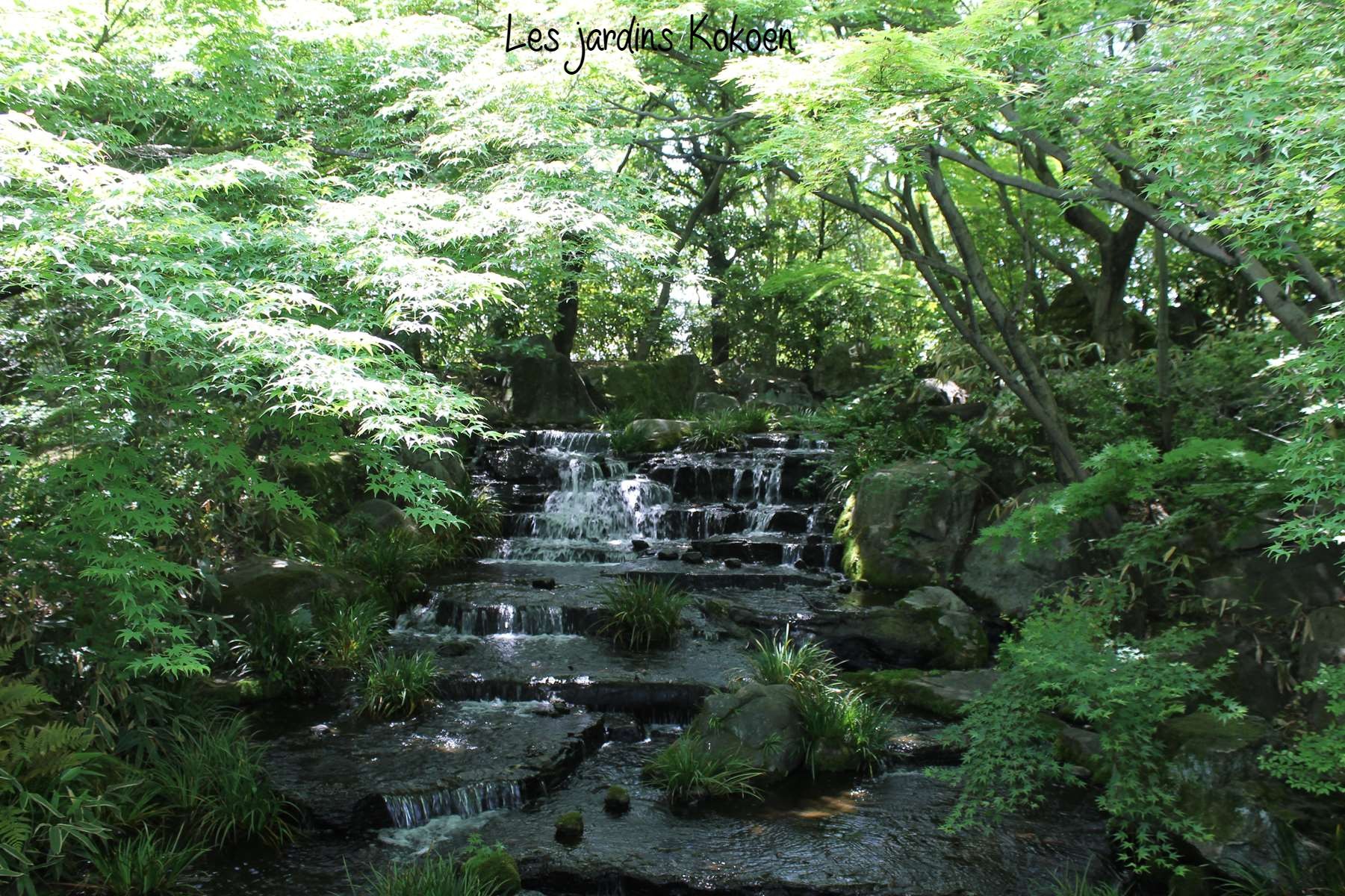 Jardin Kokoen Himeji