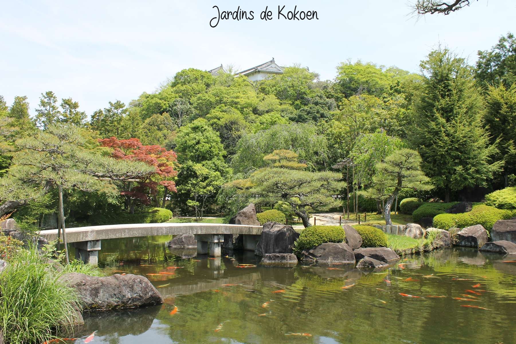 Jardin Kokoen Himeji