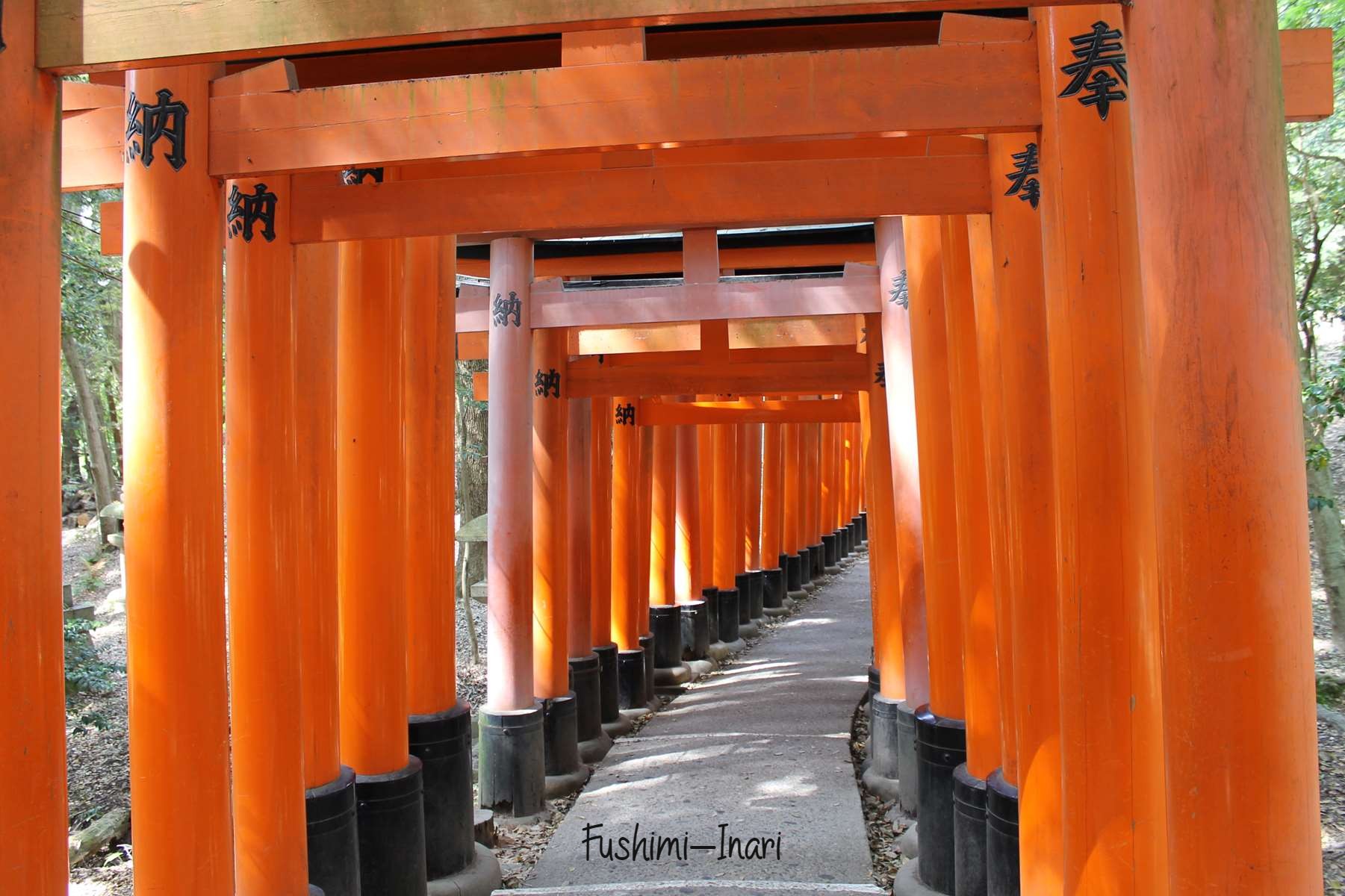 Fushimi Inari Kyoto