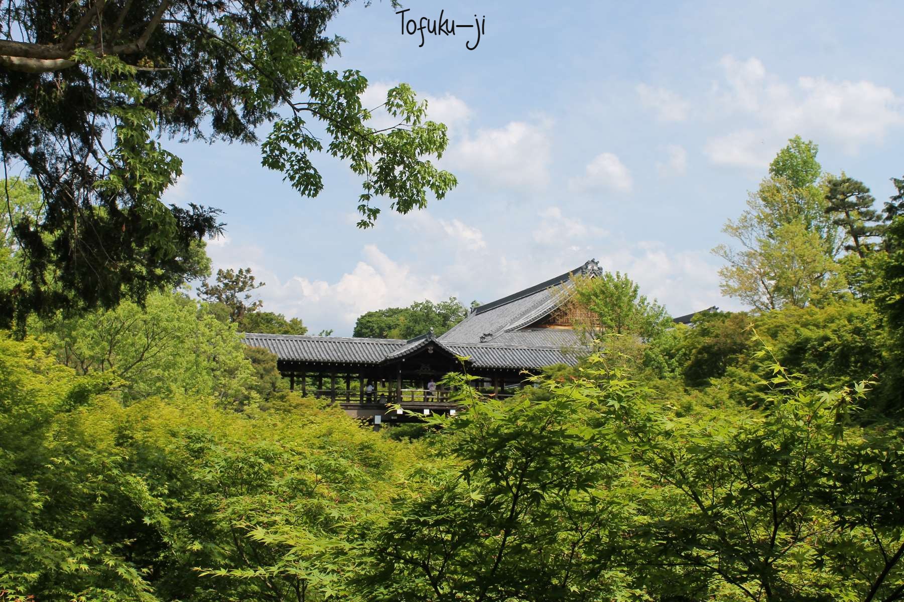 Tofuku-ji Kyoto