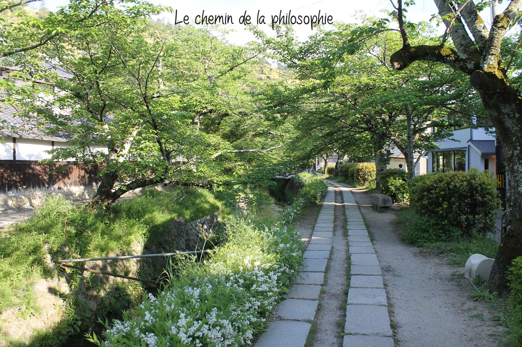 Chemin de la philosophie Kyoto