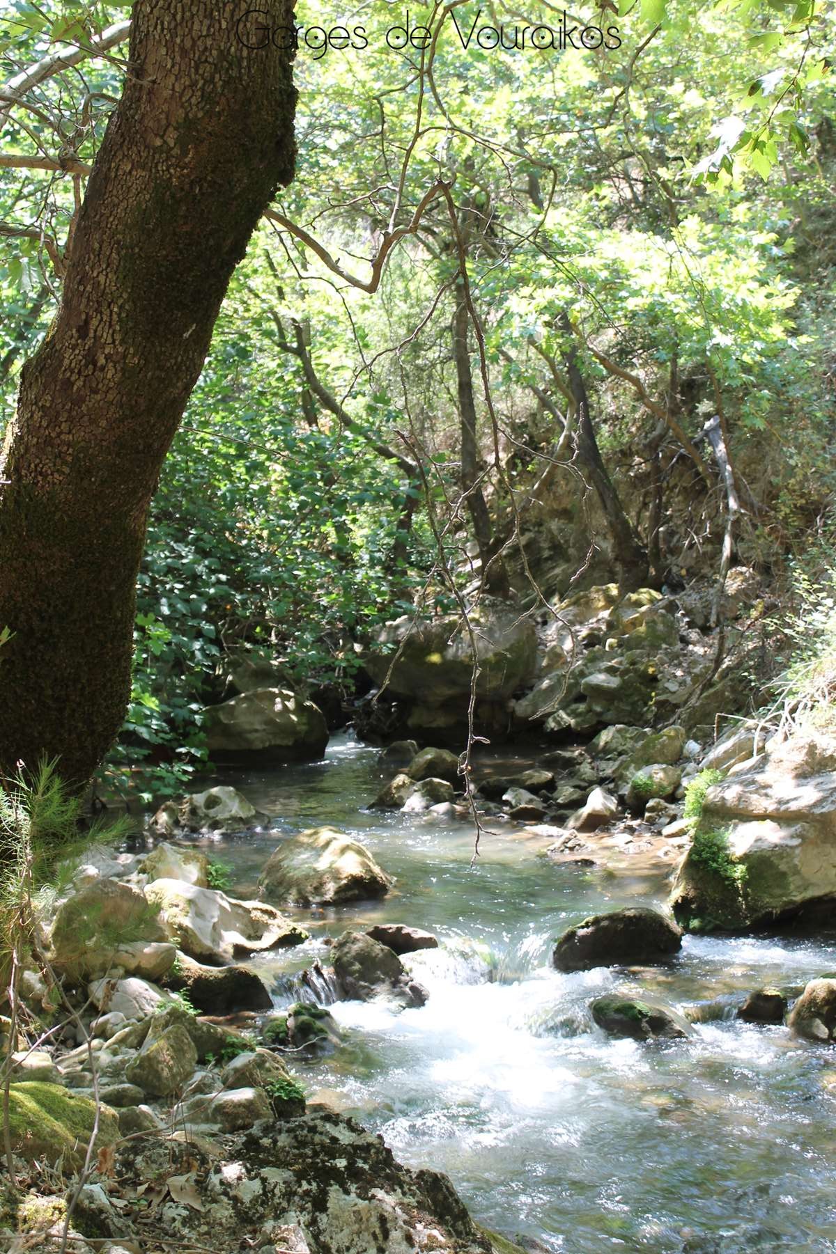 Gorges des Vouraikos Grèce Peloponnèse