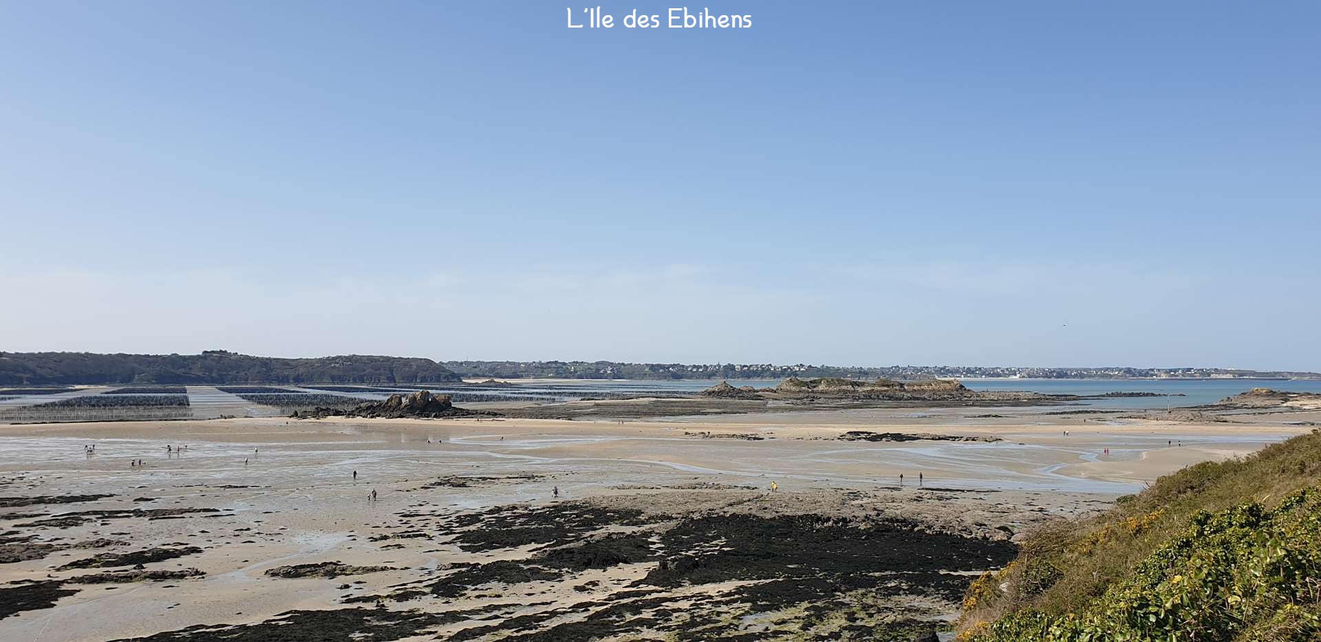 L'Île des Ebihens