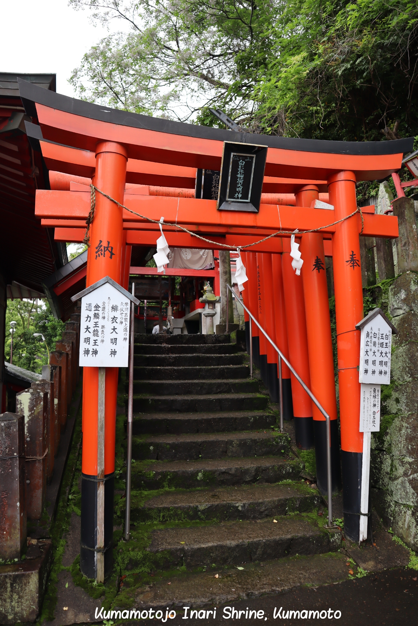 Kumamotojo Inara Shrine Kumamoto Japon