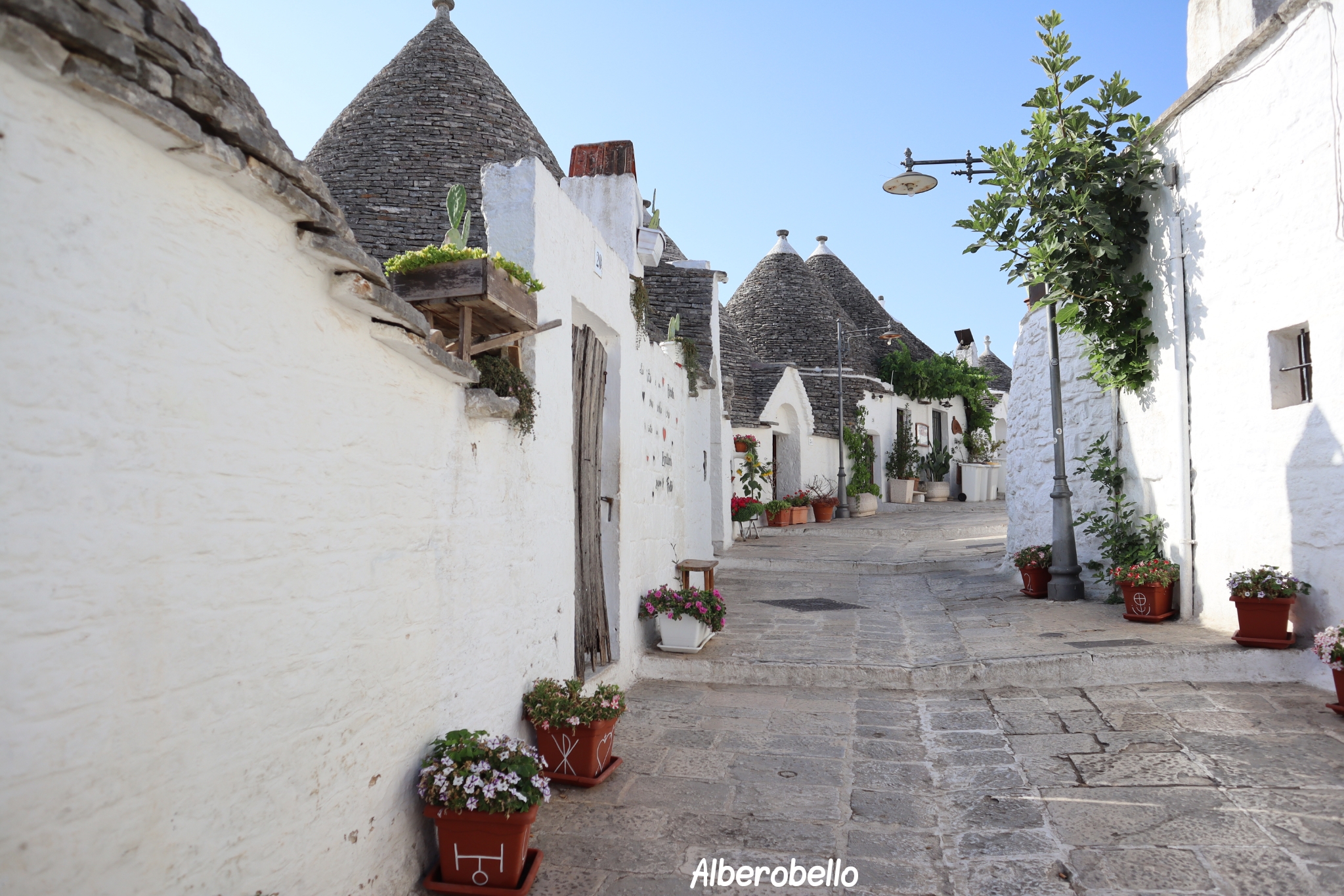 Alberobello Pouilles