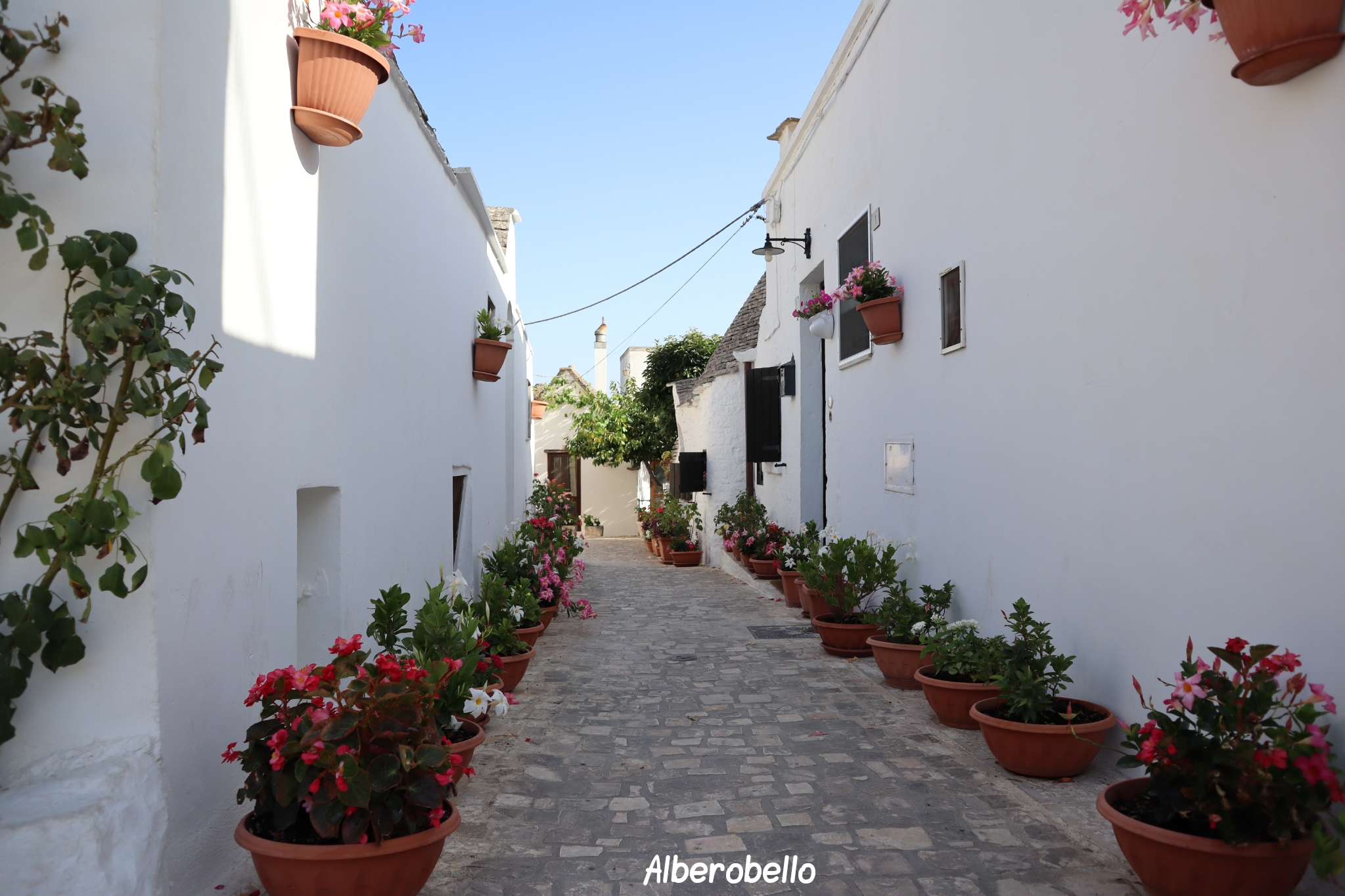 Alberobello Pouilles