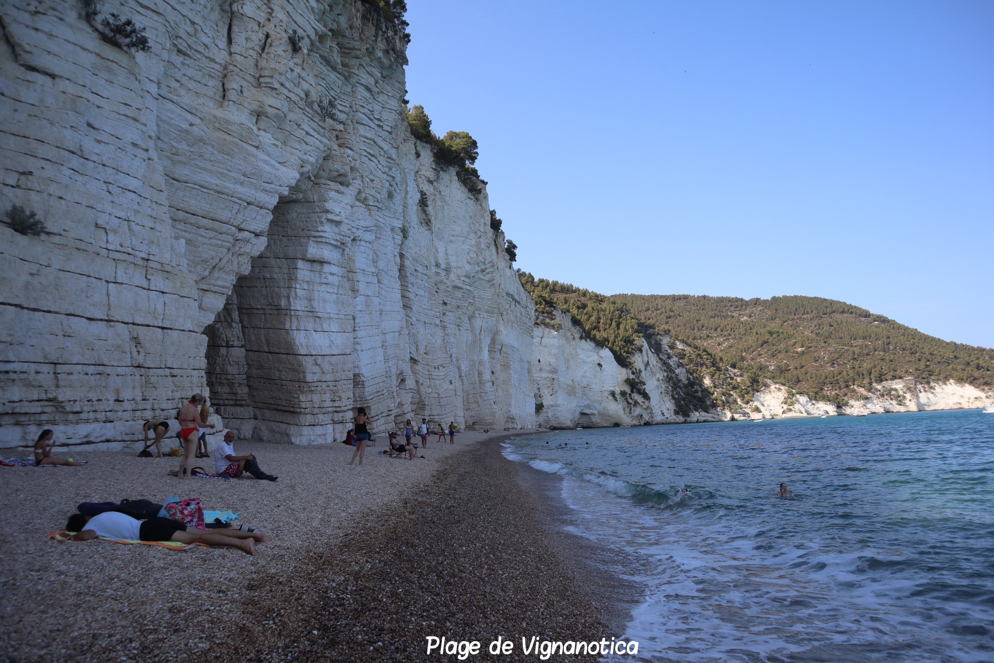 Vignanotica Pouilles