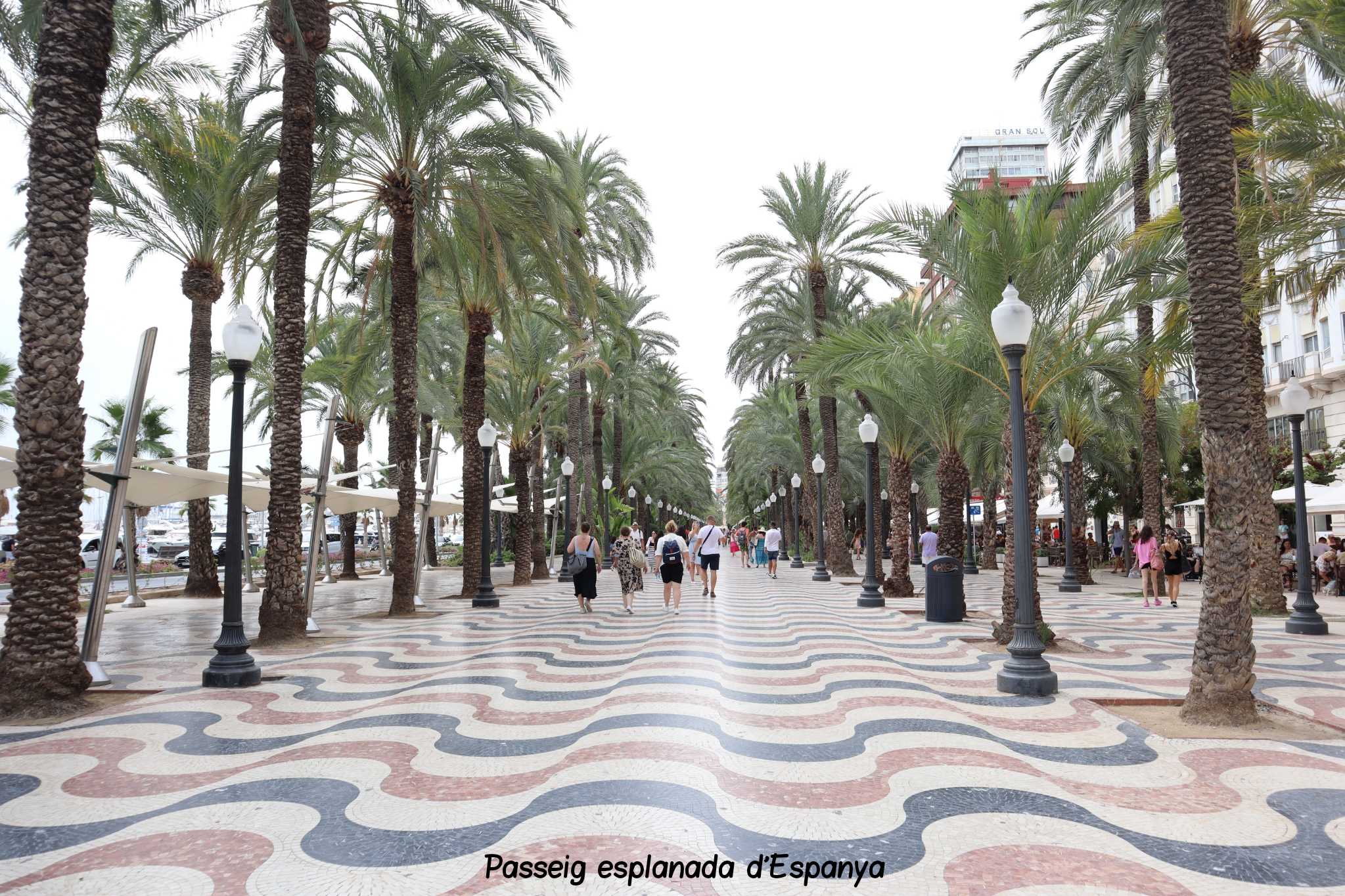 esplanada espanya Alicante