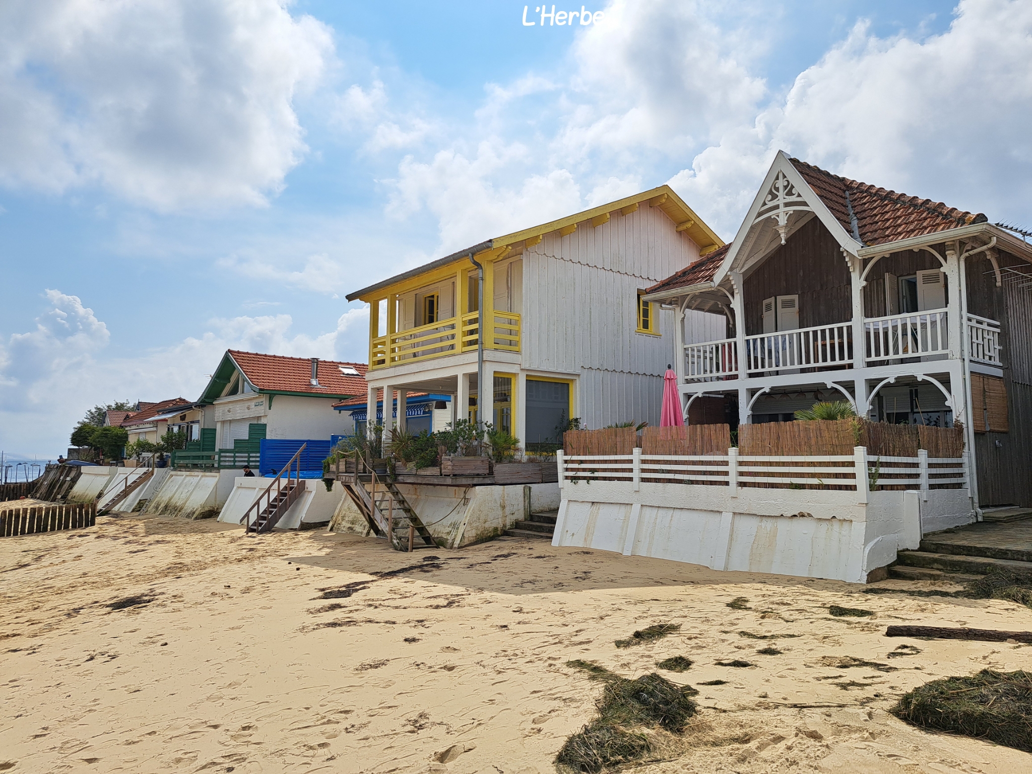 L'Herbe bassin d'arcachon