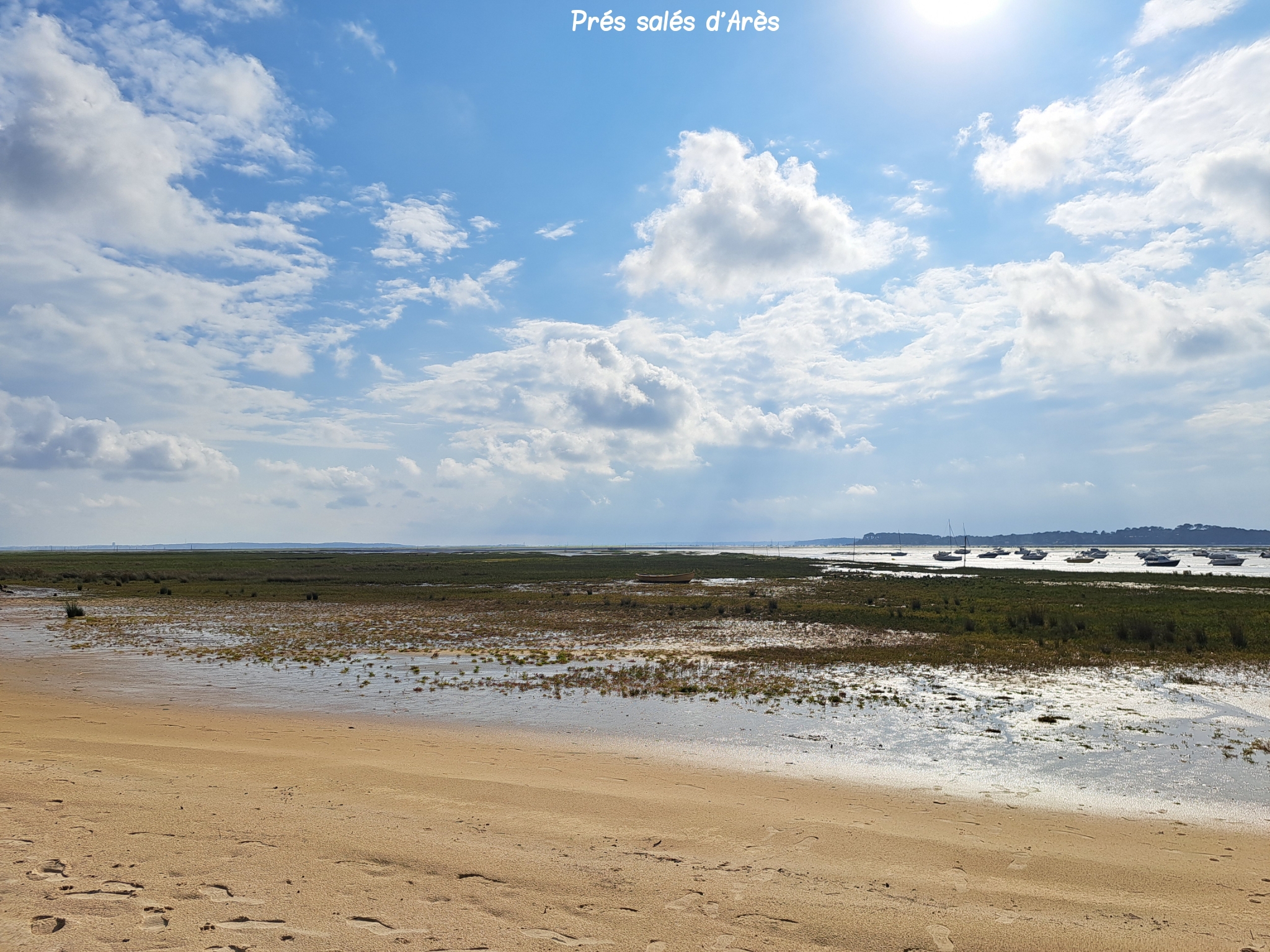 Prés salés d'Arès