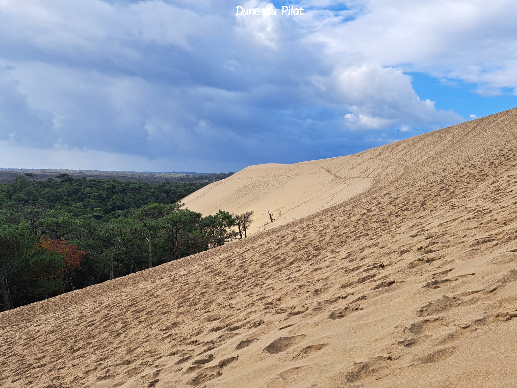 Dune du Pilat