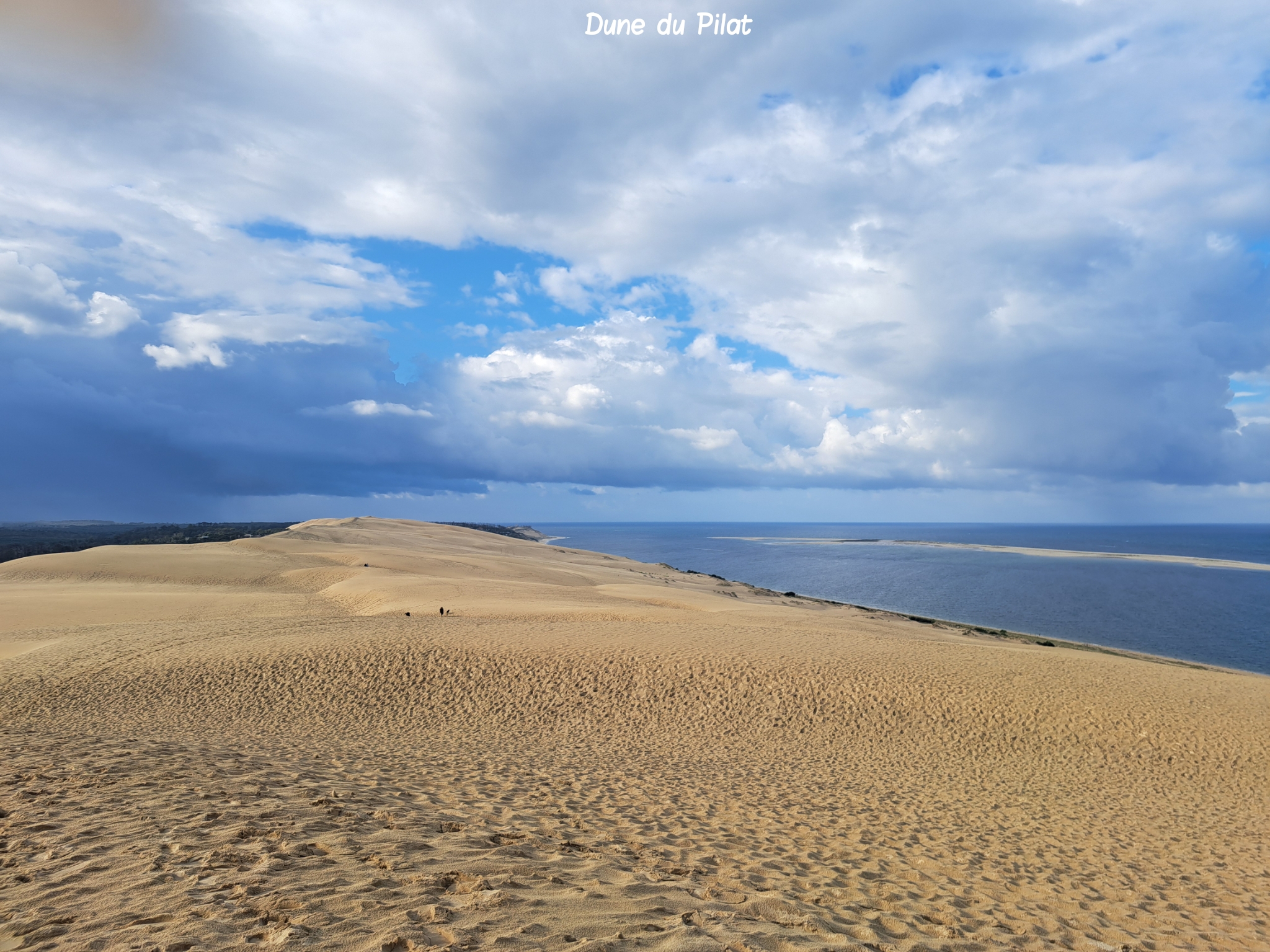 Dune du Pilat