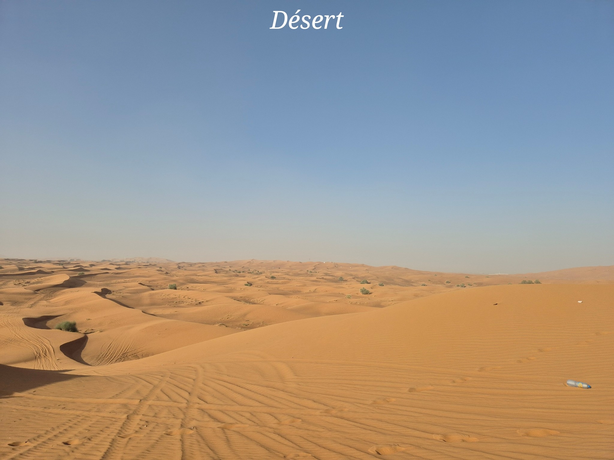 Désert Dubai