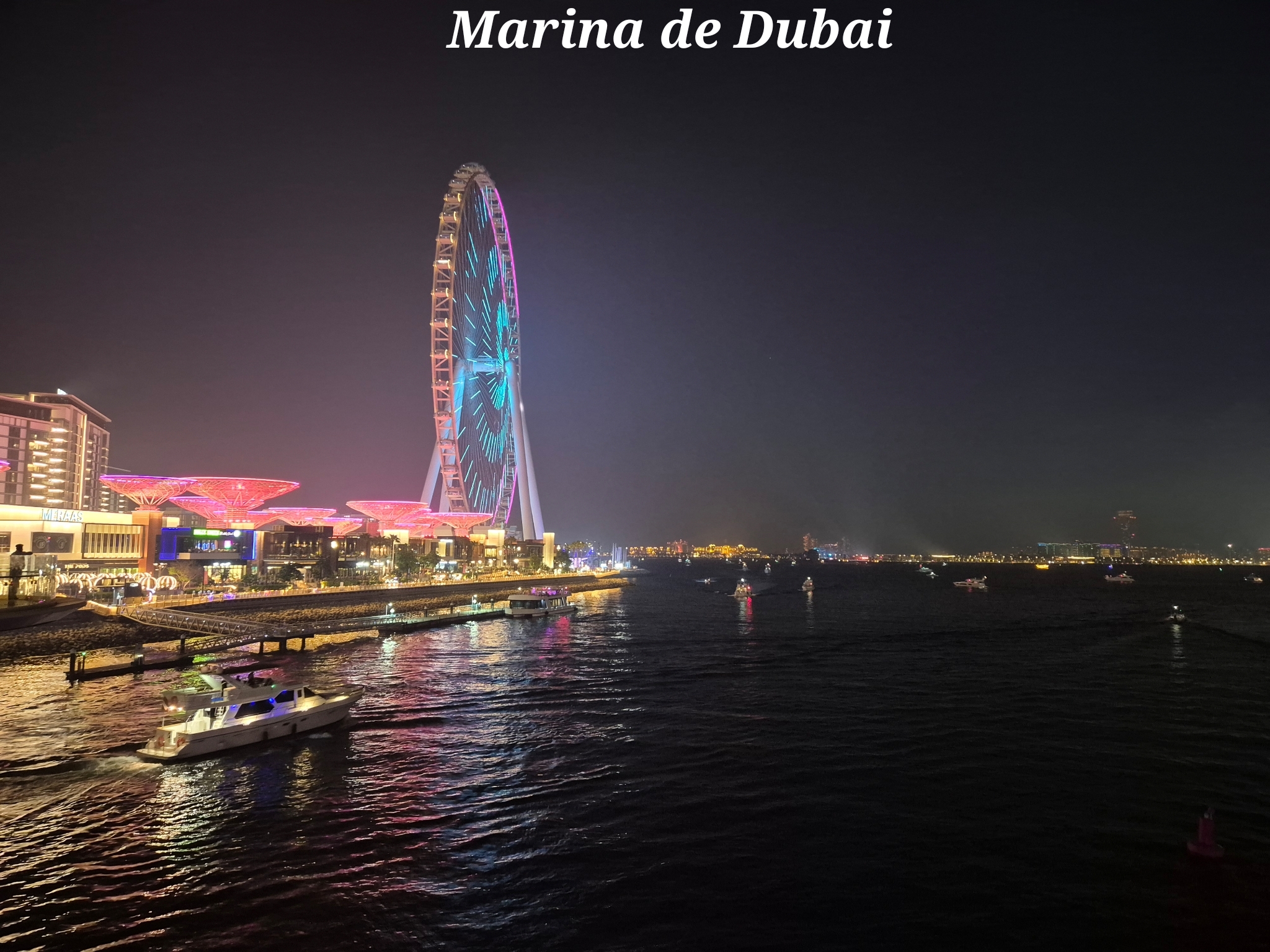Marina Dubai