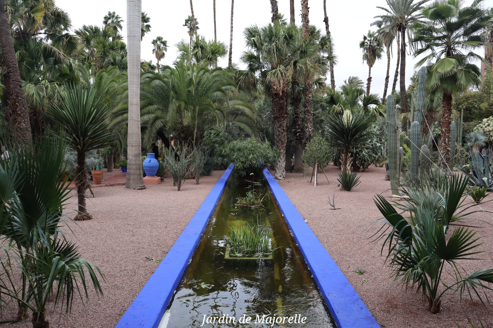 Jardin de Majorelle Marrakech