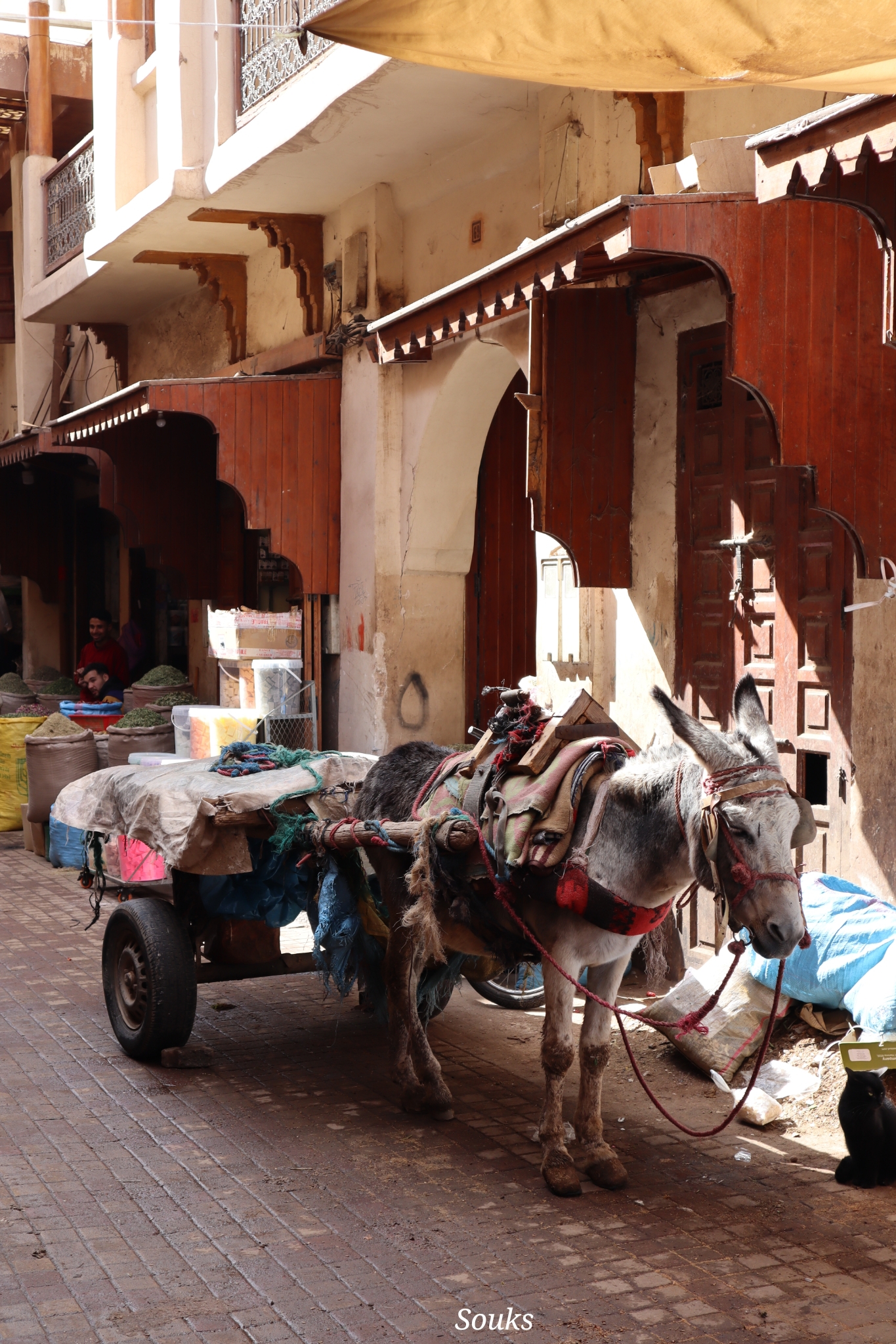 Souks Marrakech