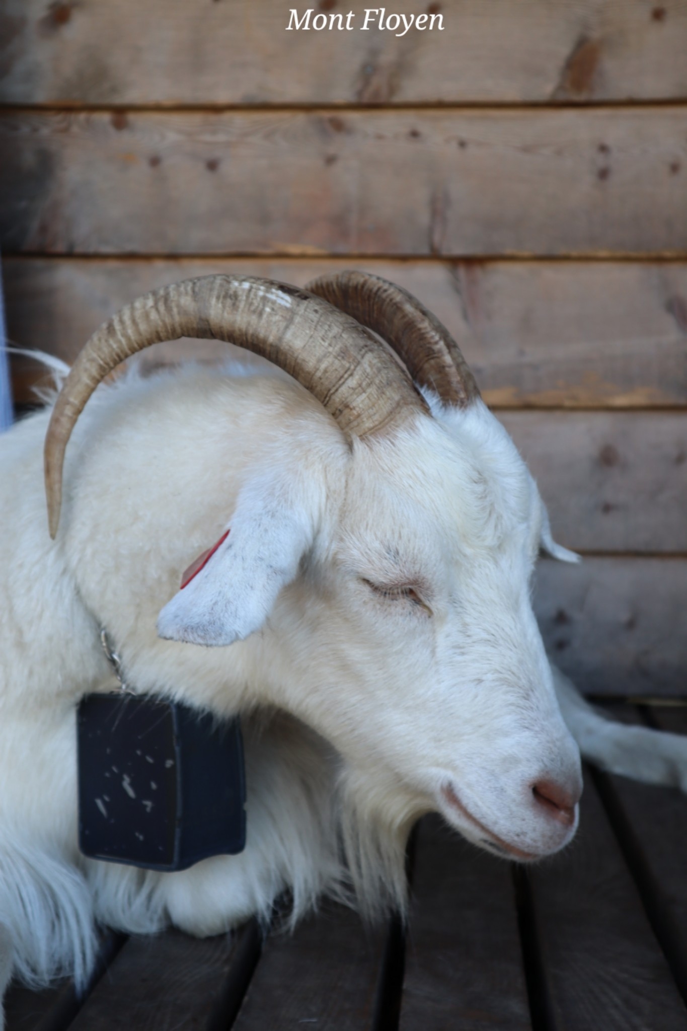 Mont Floyen Bergen Norvège