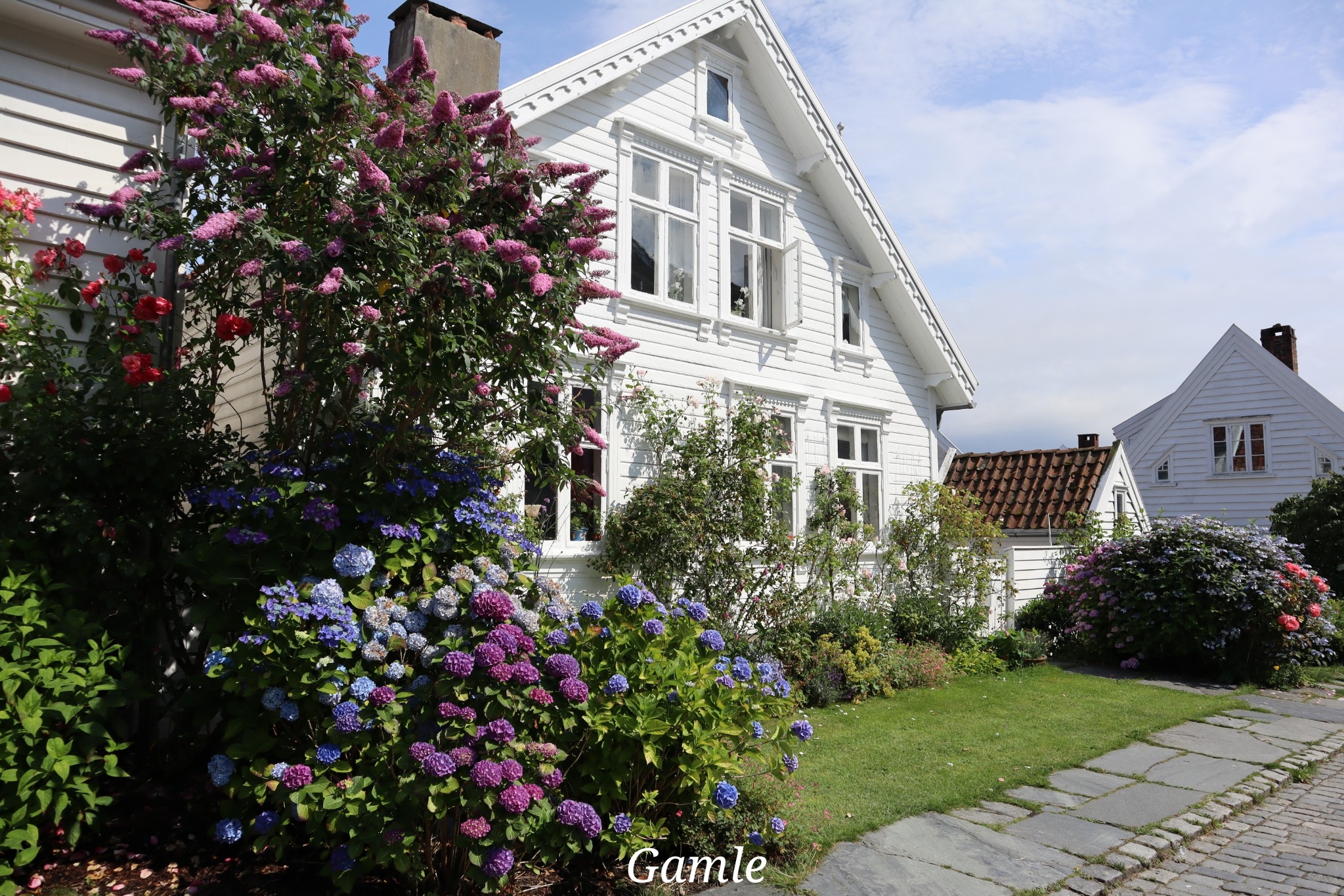 Gamle stavanger Norvège