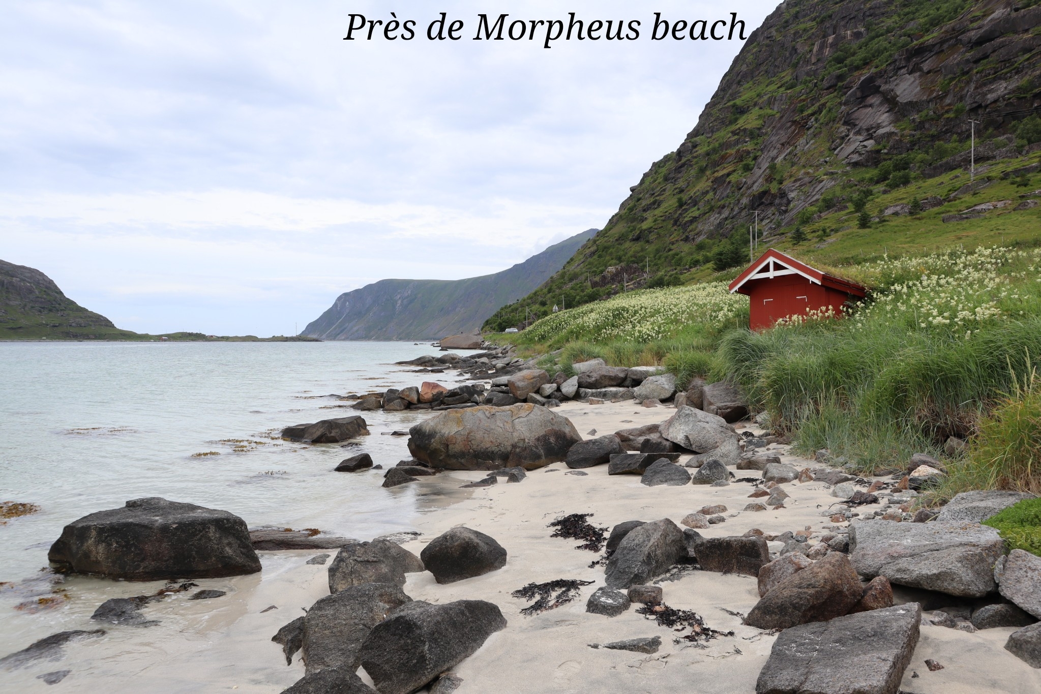 Morpheus beach Lofoten