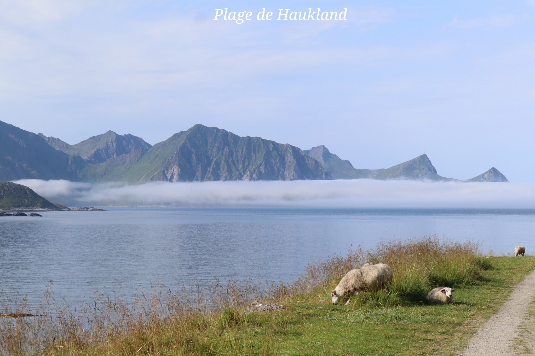 Haukland Lofoten