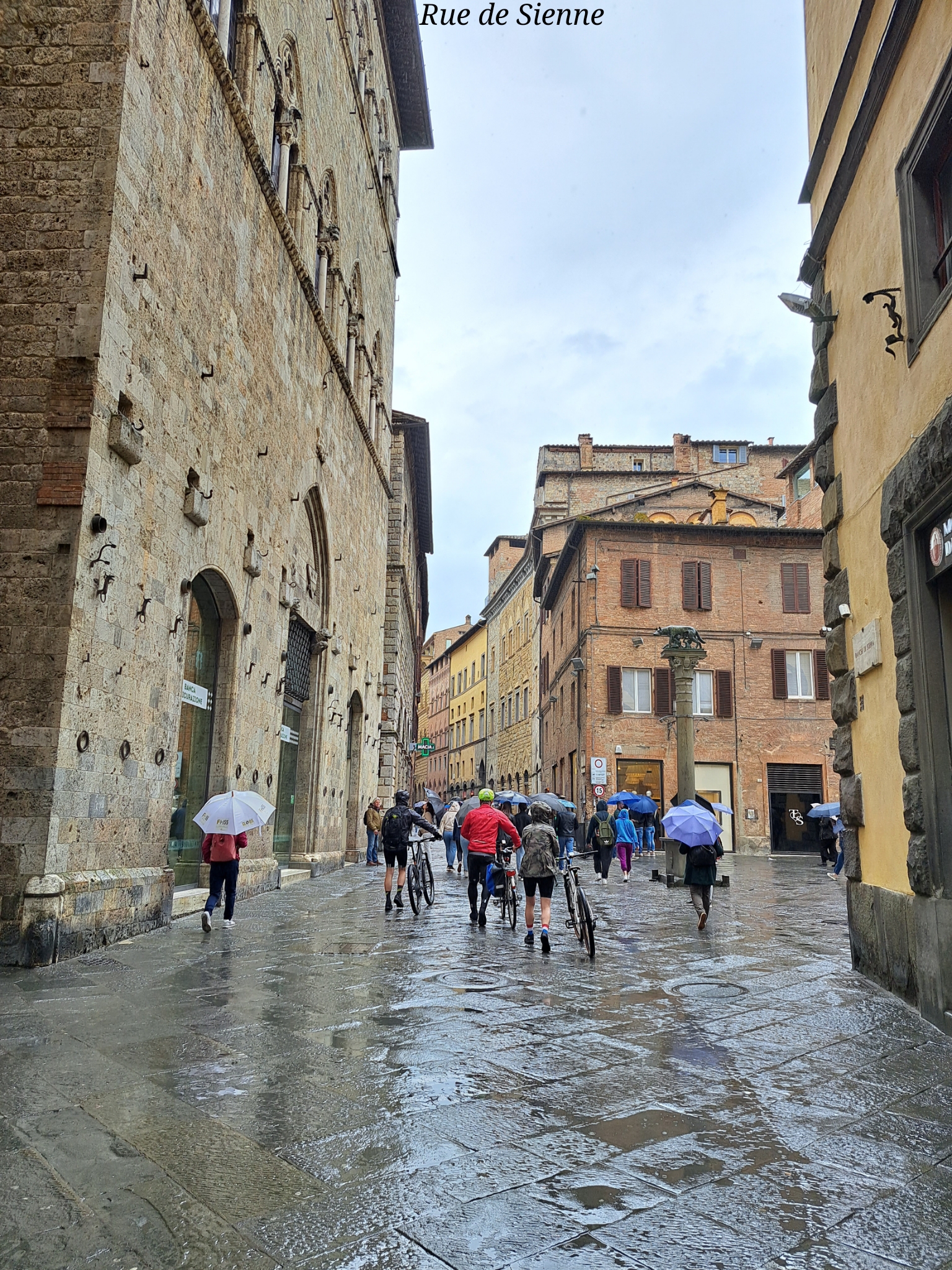 Sienne Toscane Italie