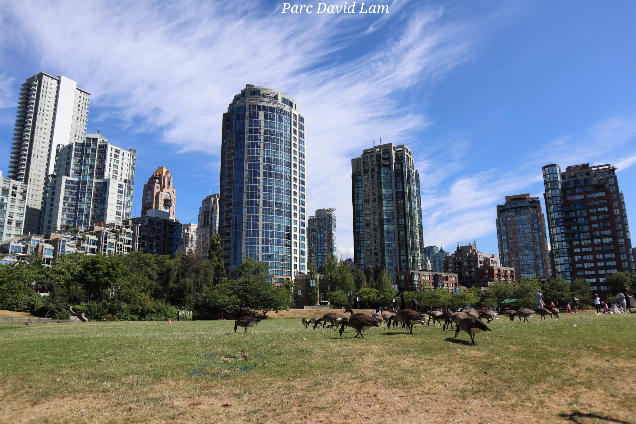 David Lam Vancouver Canada