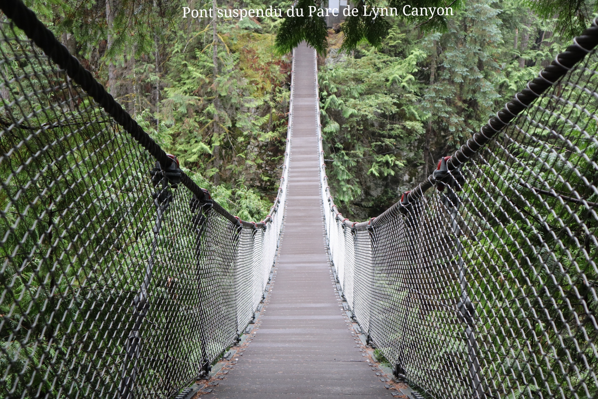 Lynn Canyon Vancouver Canada