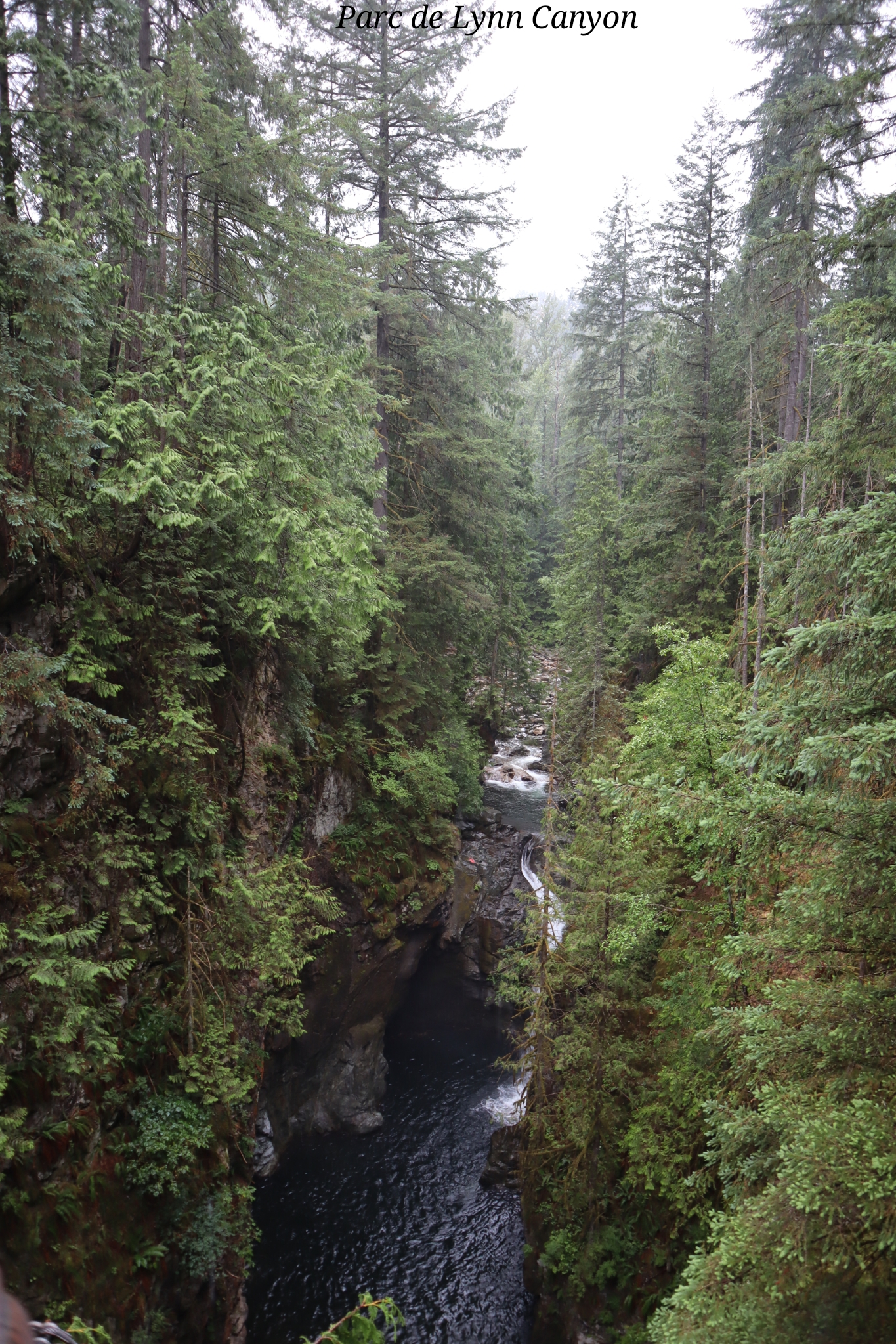 Lynn Canyon Vancouver Canada