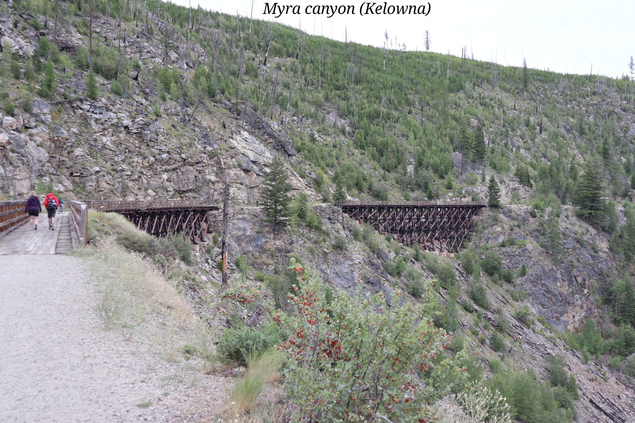 Myra Canyon Kelowna Canada