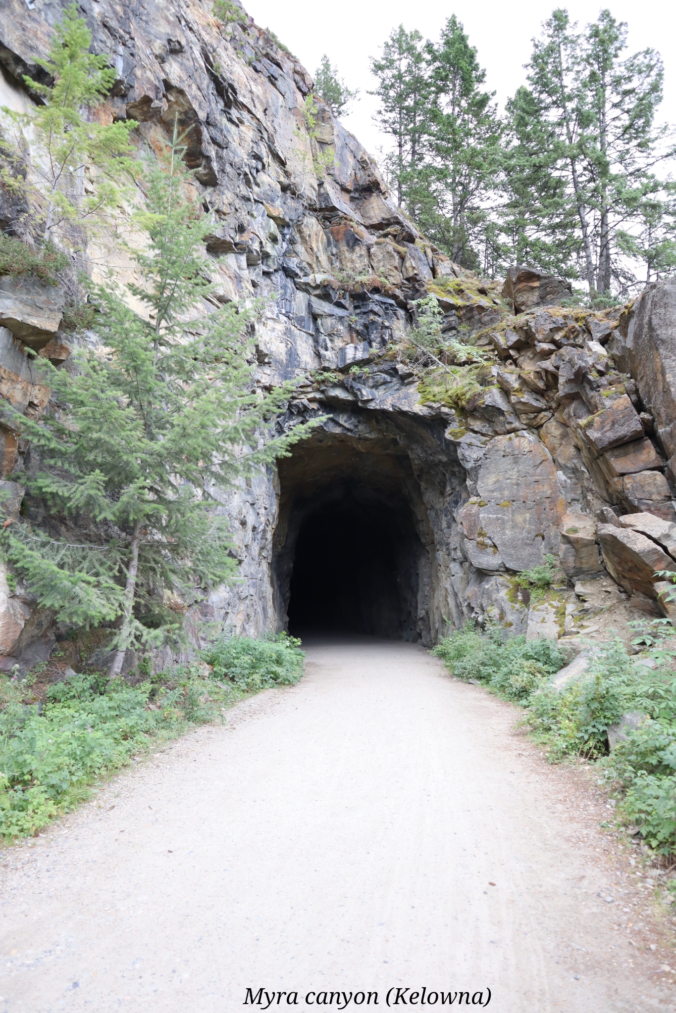 Myra Canyon Kelowna Canada