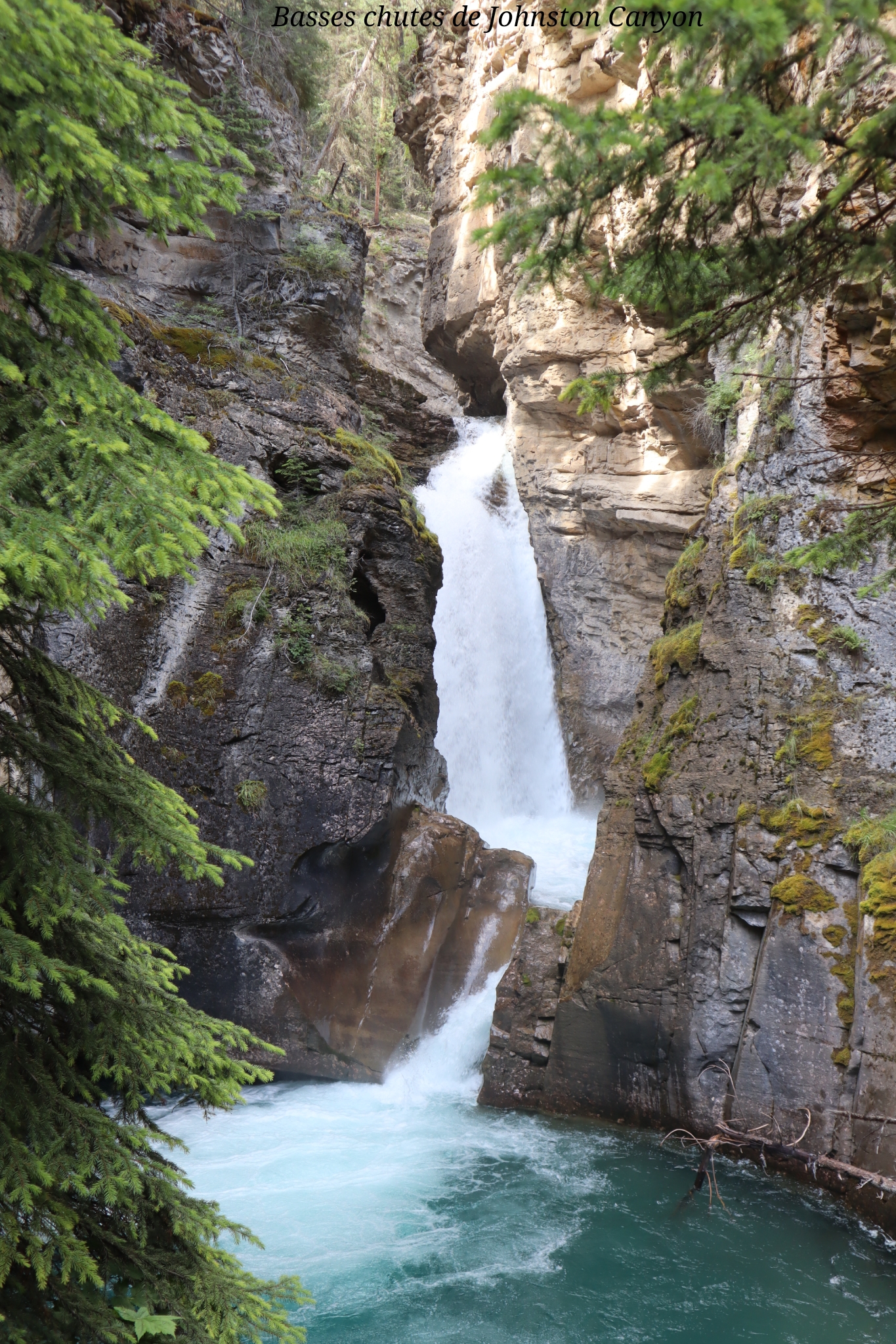 Johnston Canyon Canada