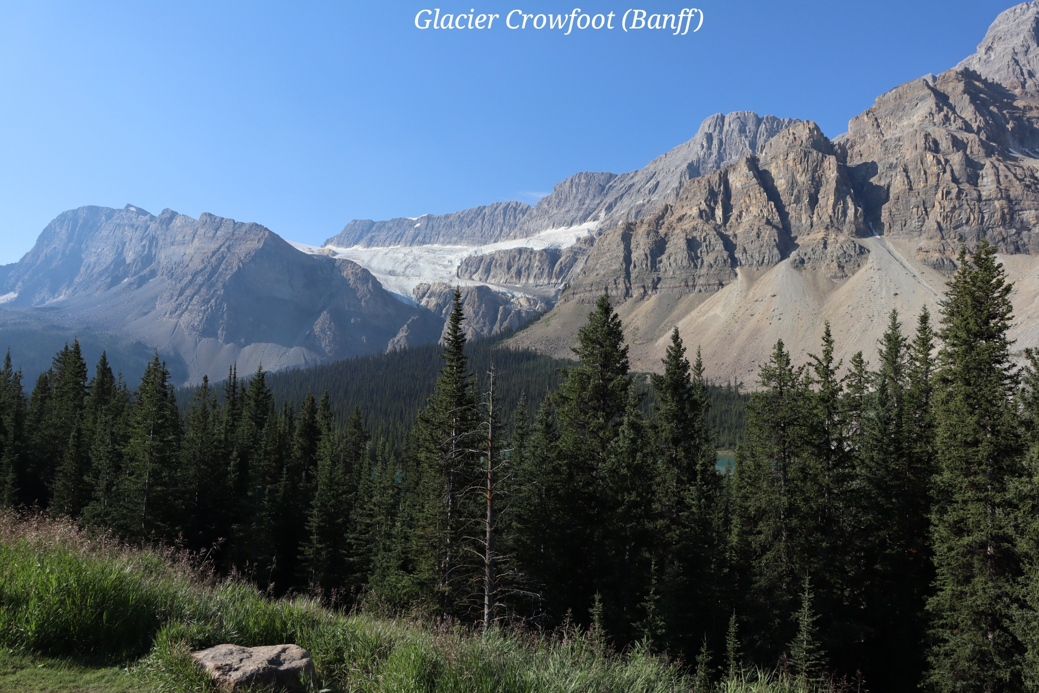 Glacier Crowfoot Banff Canada
