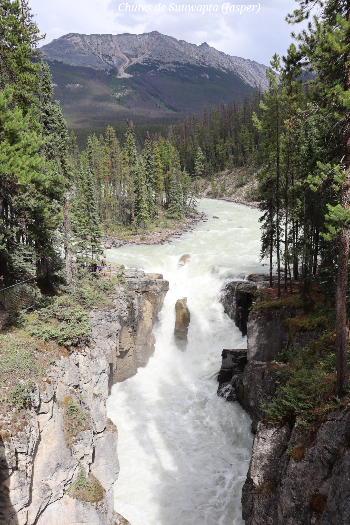 Sunwapta Jasper Canada