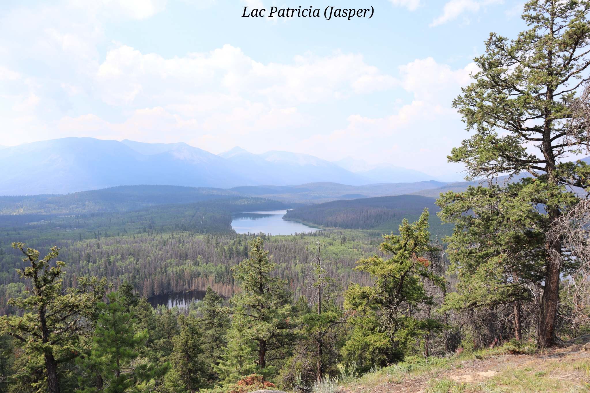 Patricia Jasper Canada