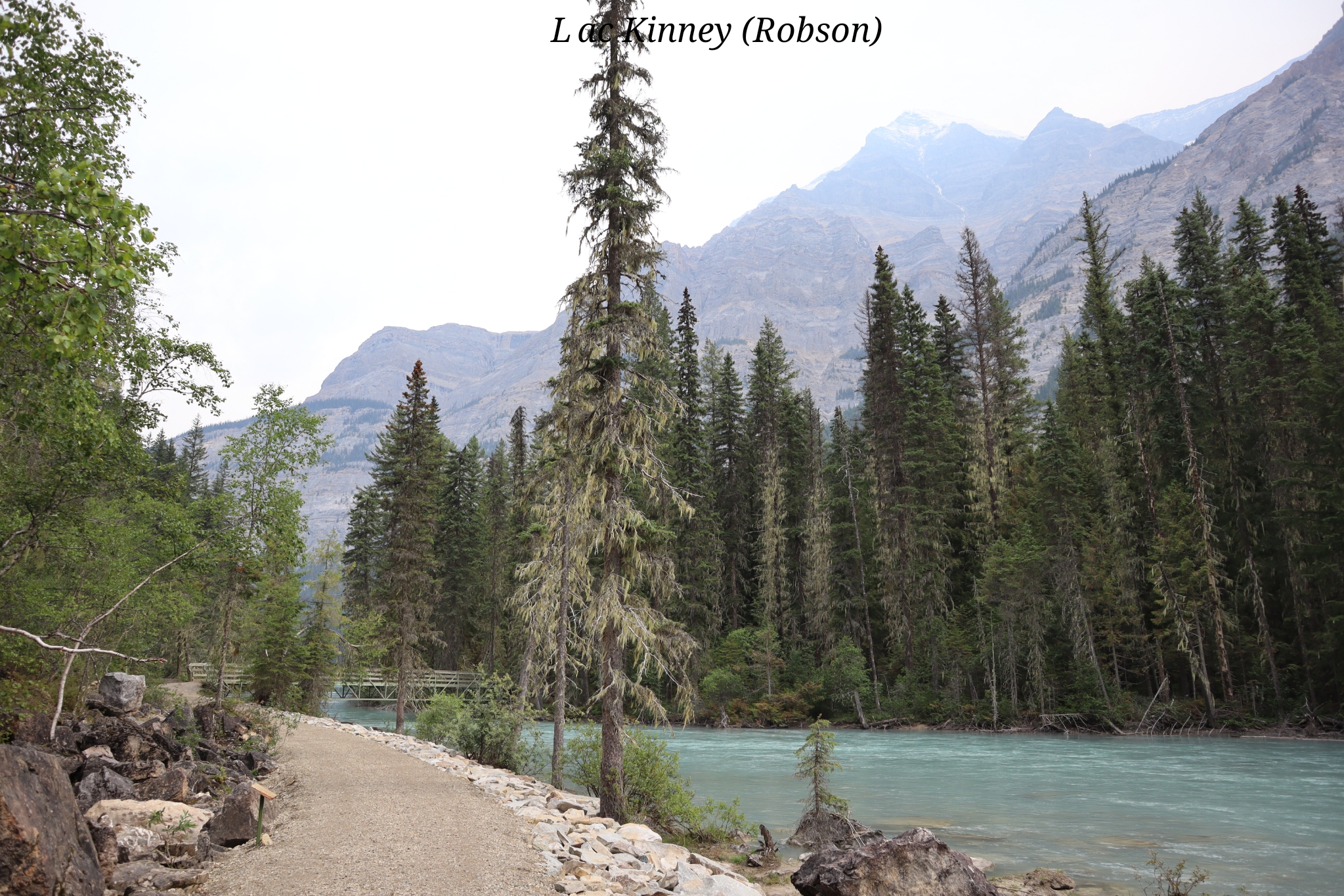 Kinney Robson Canada