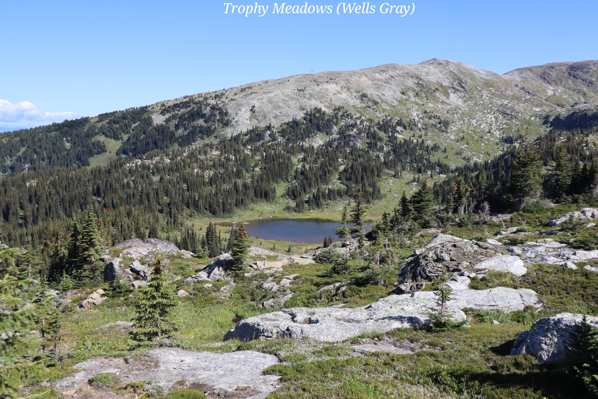 Trophy Meadows Wells gray Canada